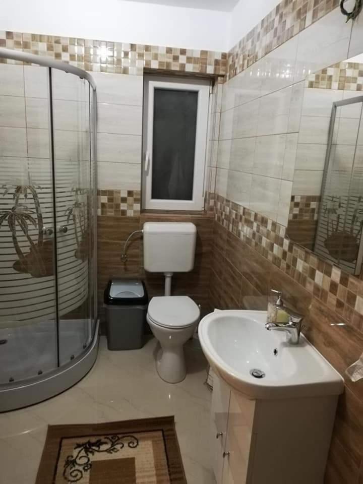 Casa Brănescu view 3