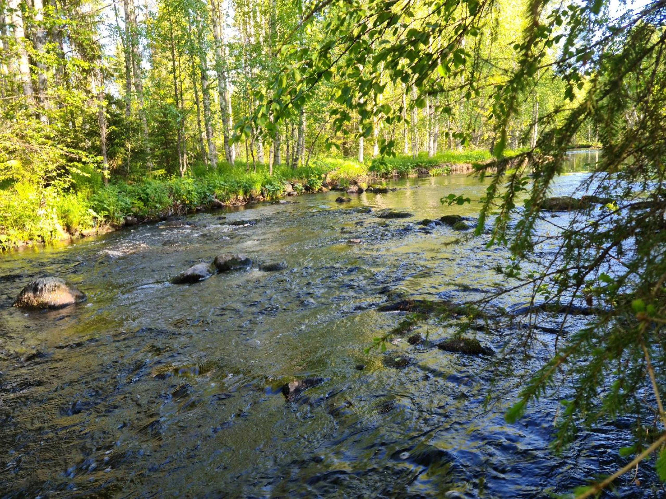 Photo 20
