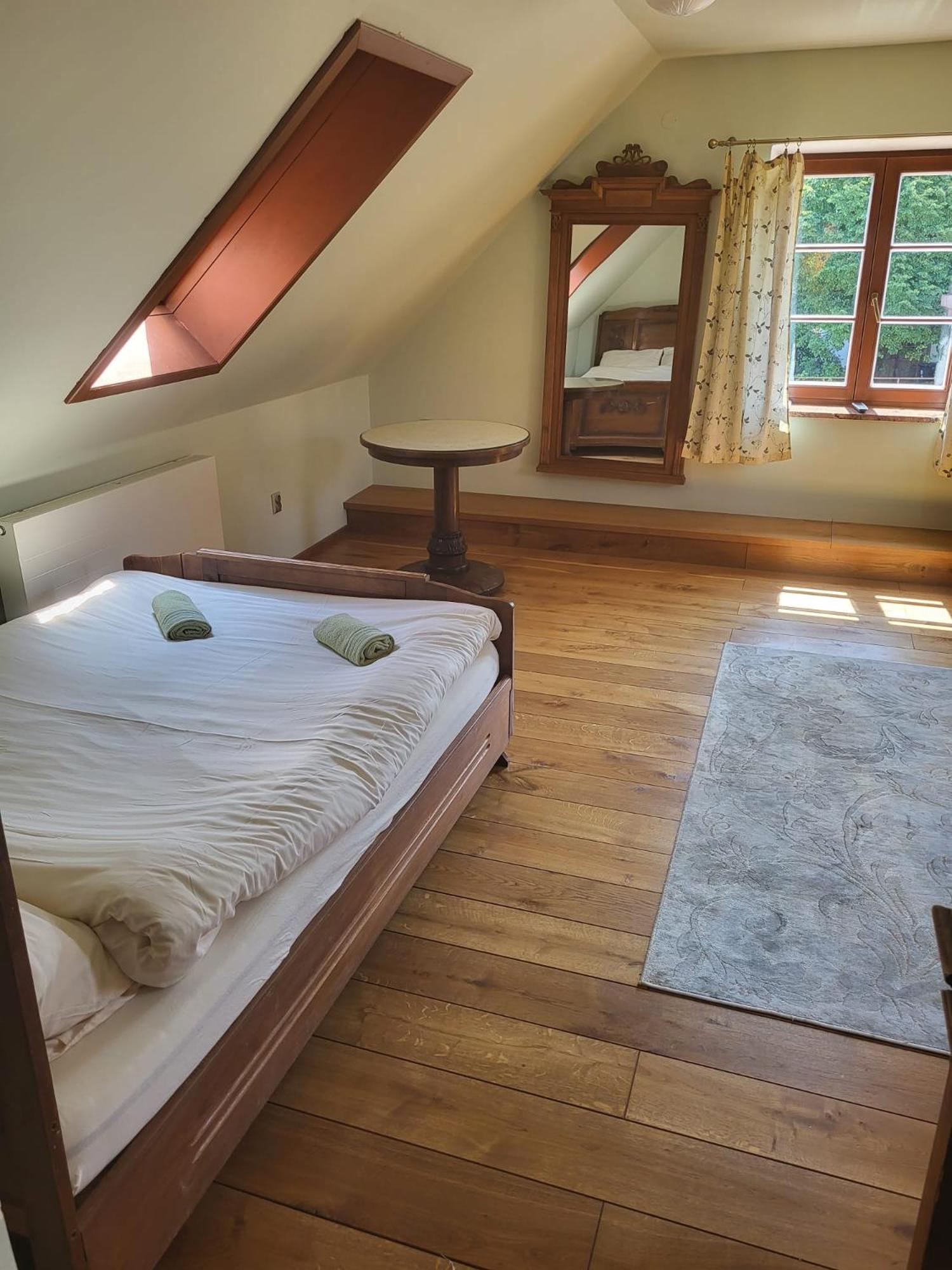ROOF APARTMENT ZTRACENA