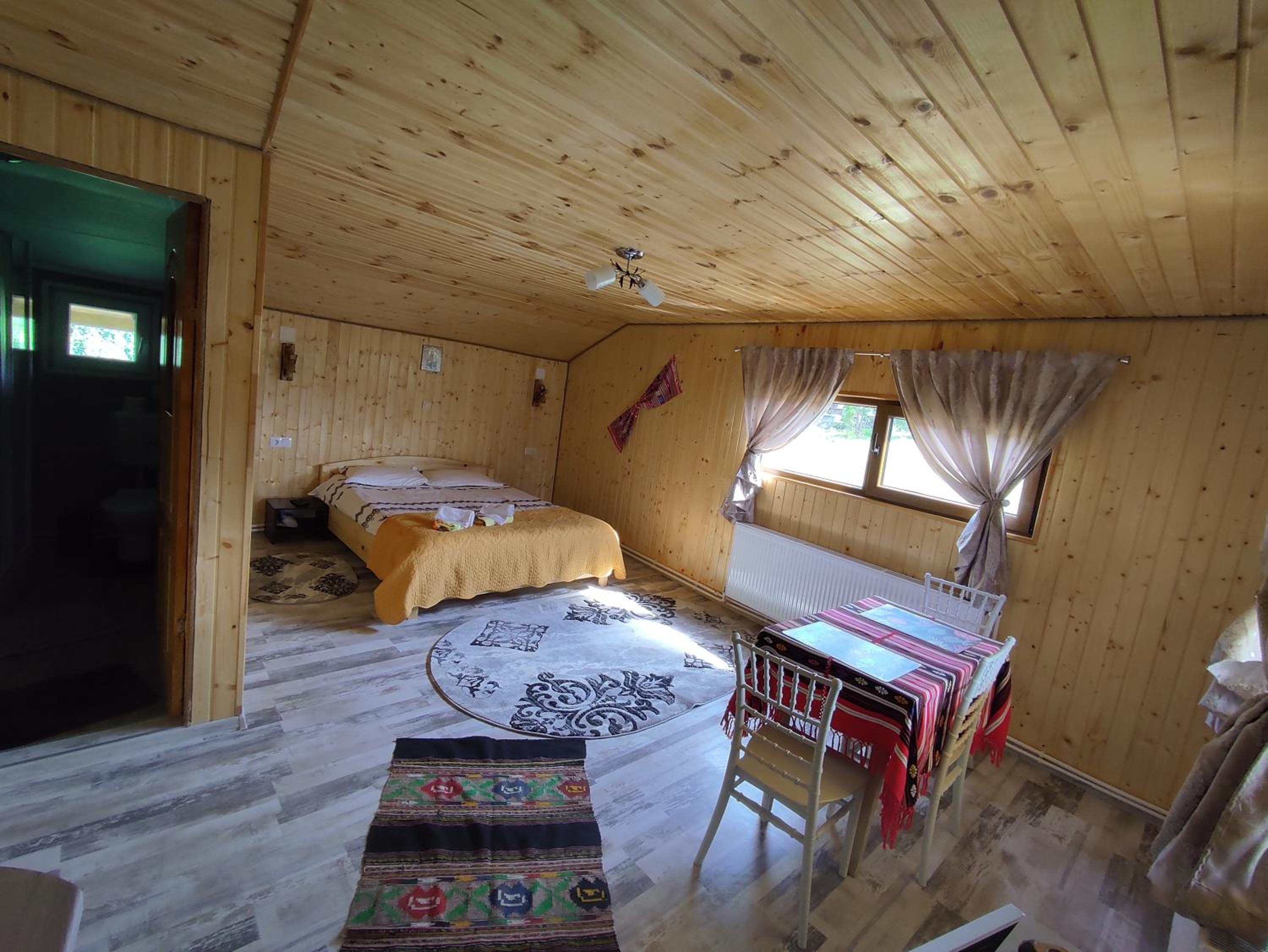 Cabana doi mesteceni