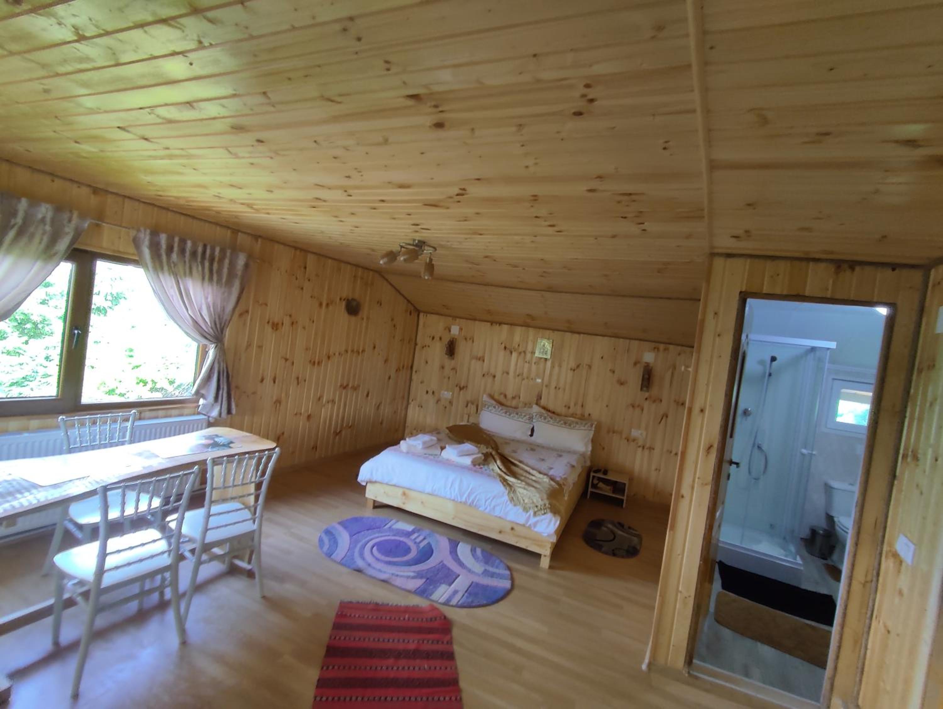 Cabana doi mesteceni