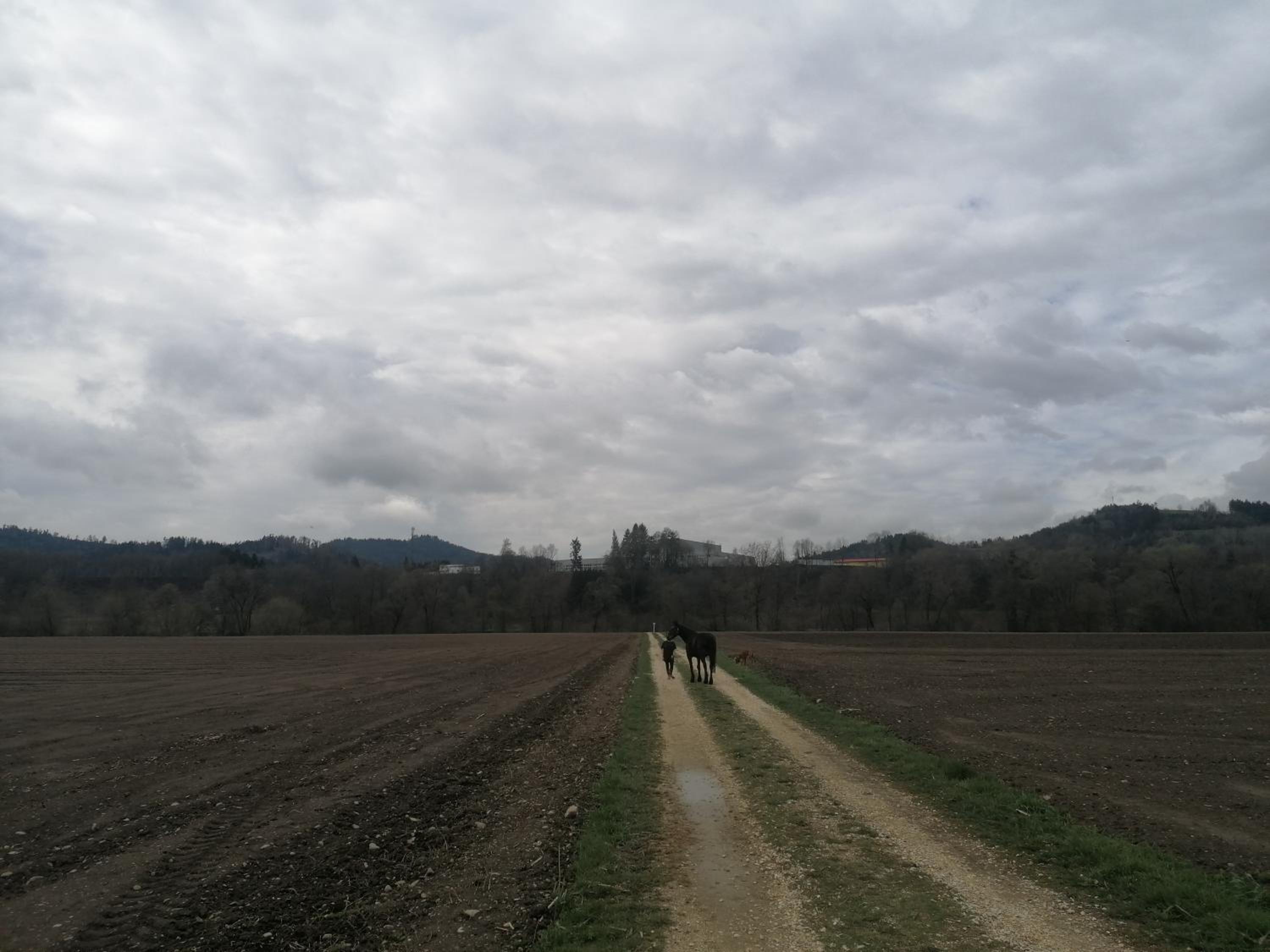 Hof Notburga - Erholung, Ruhe & Natur pur