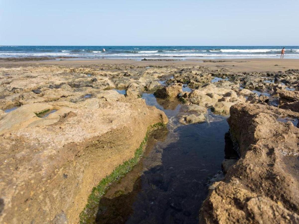 Live Inglaterra Medano Beach