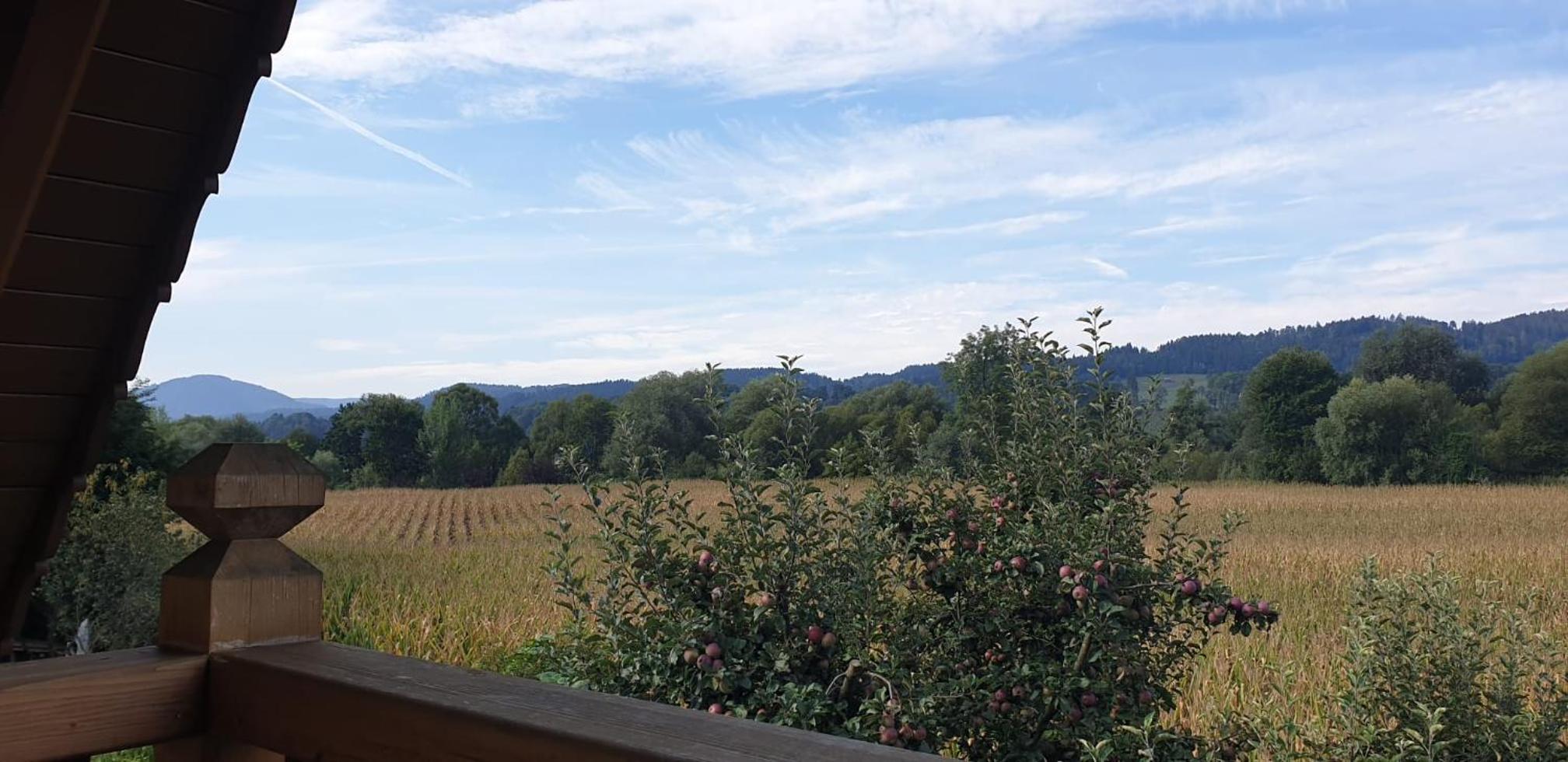 Hof Notburga - Erholung, Ruhe & Natur pur