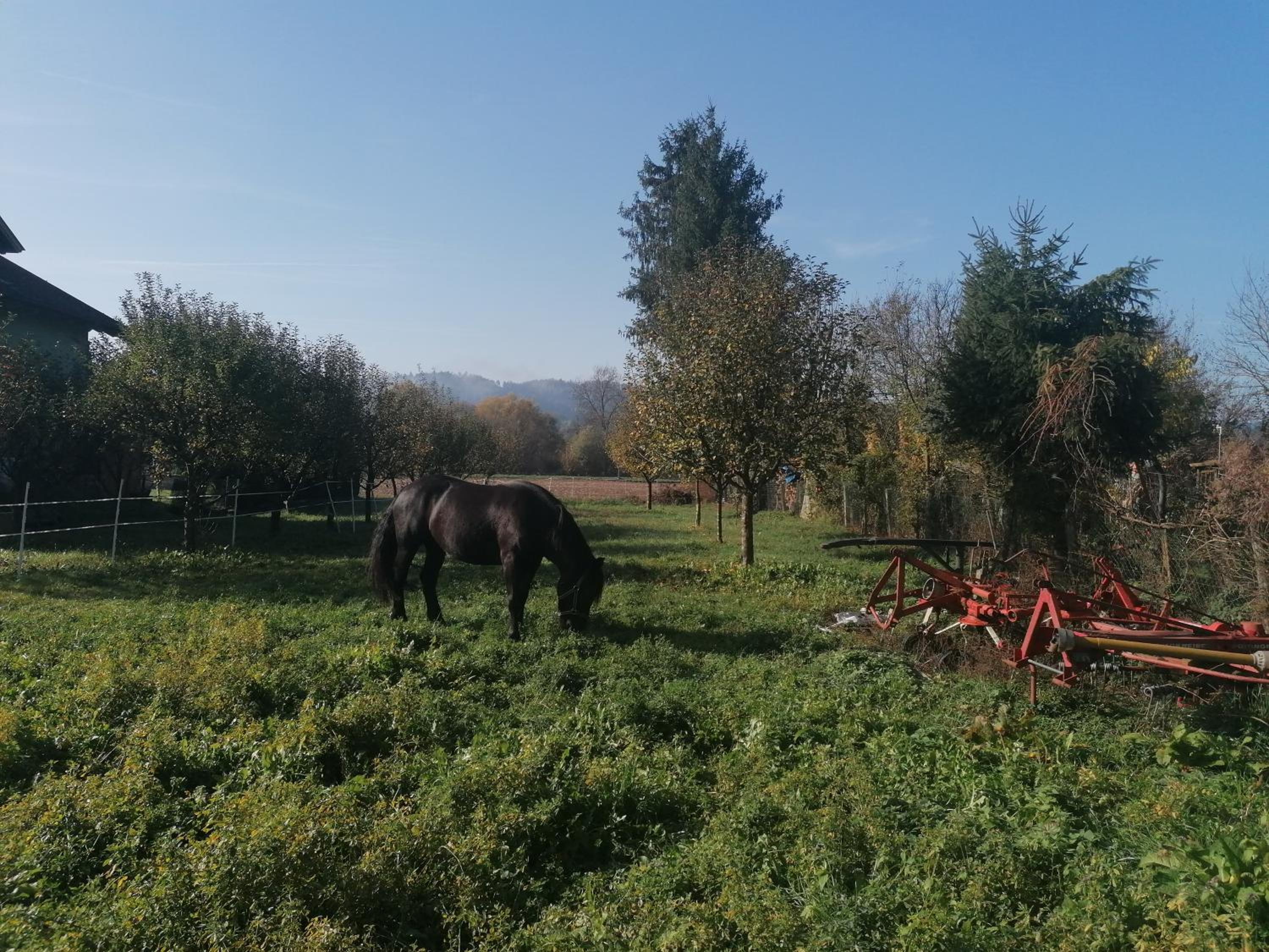Hof Notburga - Erholung, Ruhe & Natur pur