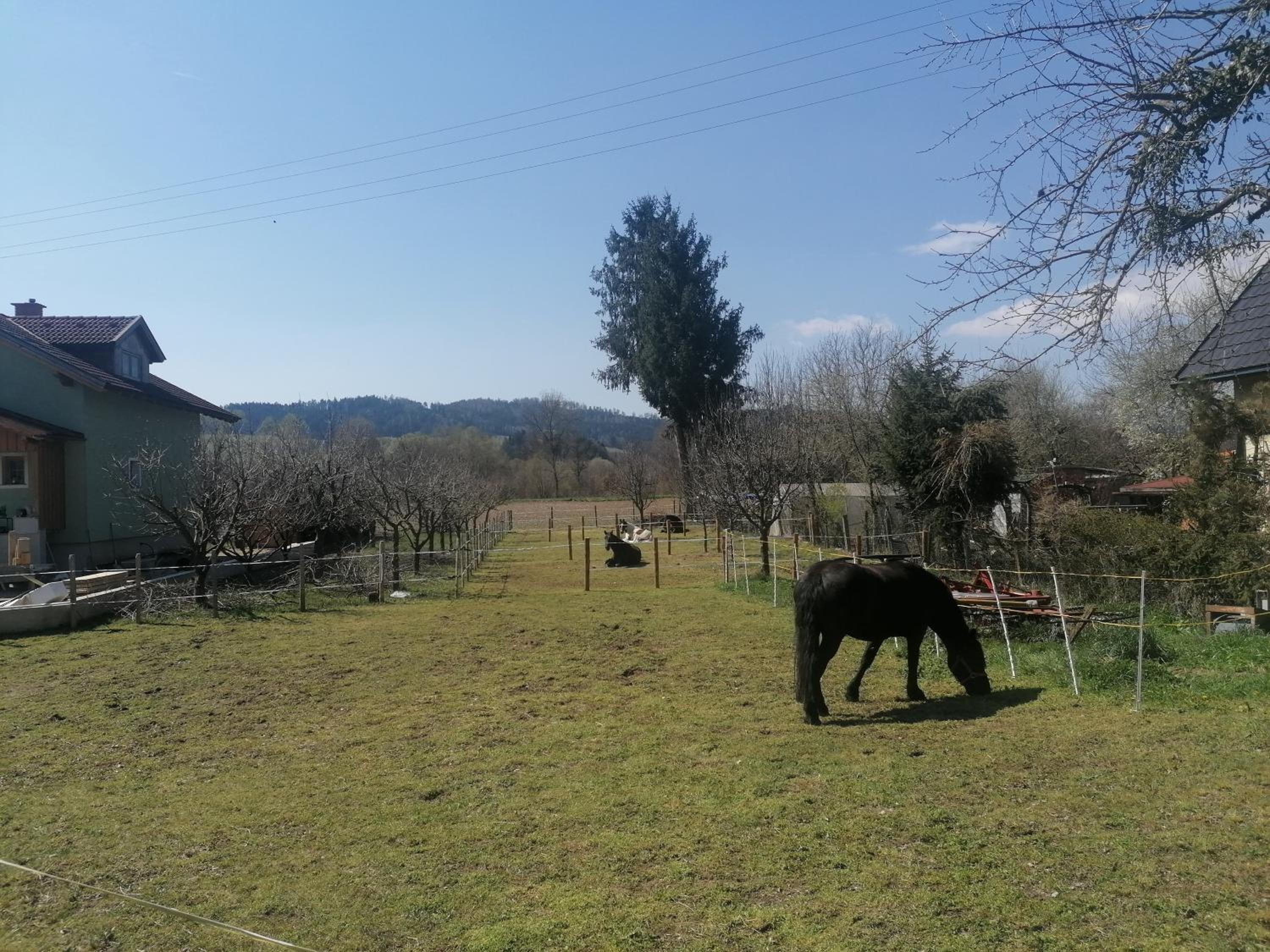Hof Notburga - Erholung, Ruhe & Natur pur