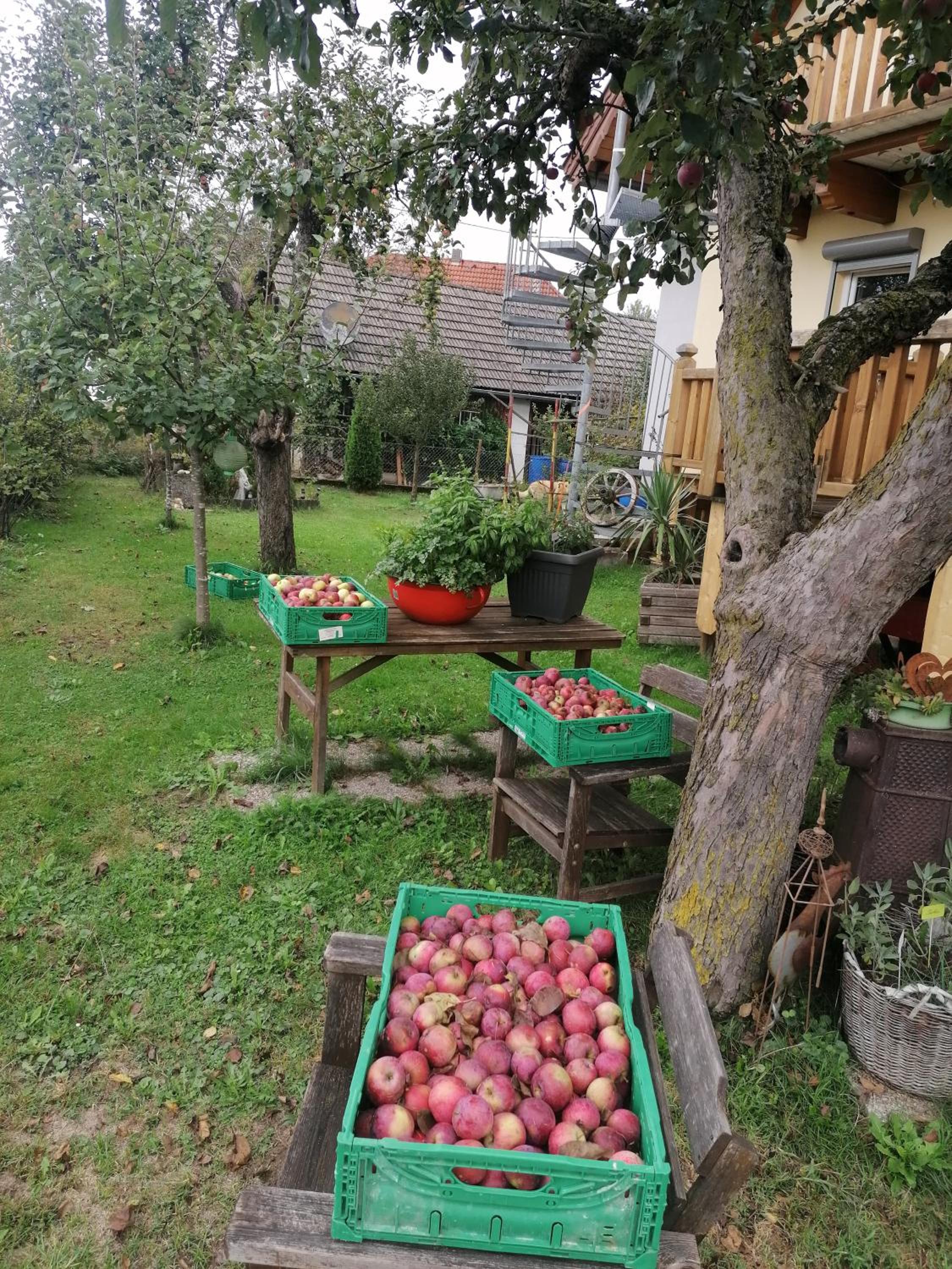 Hof Notburga - Erholung, Ruhe & Natur pur