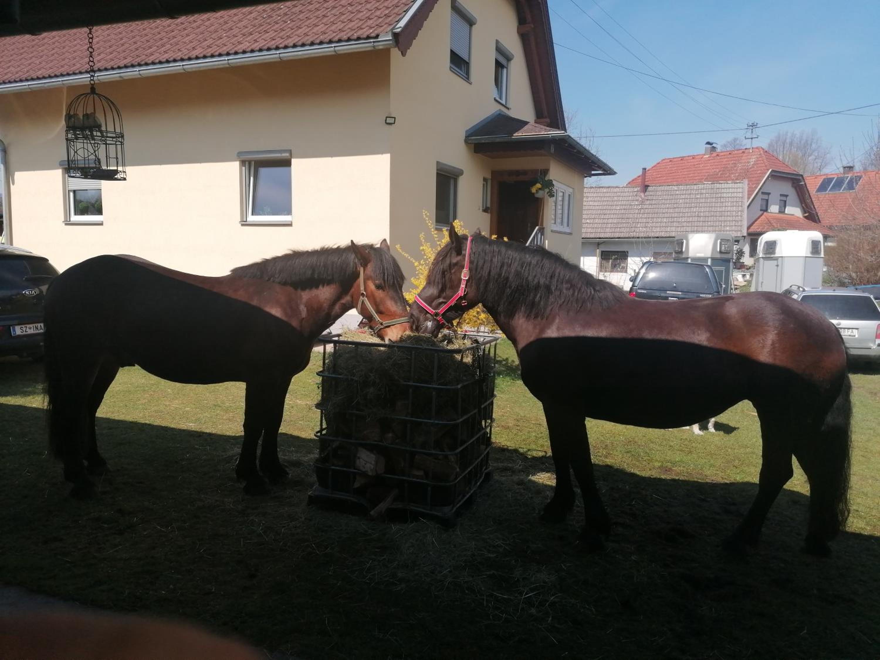 Hof Notburga - Erholung, Ruhe & Natur pur