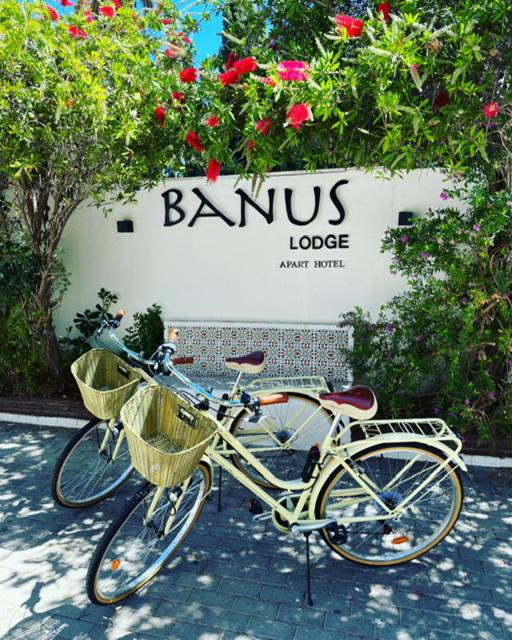Banus Lodge view 4