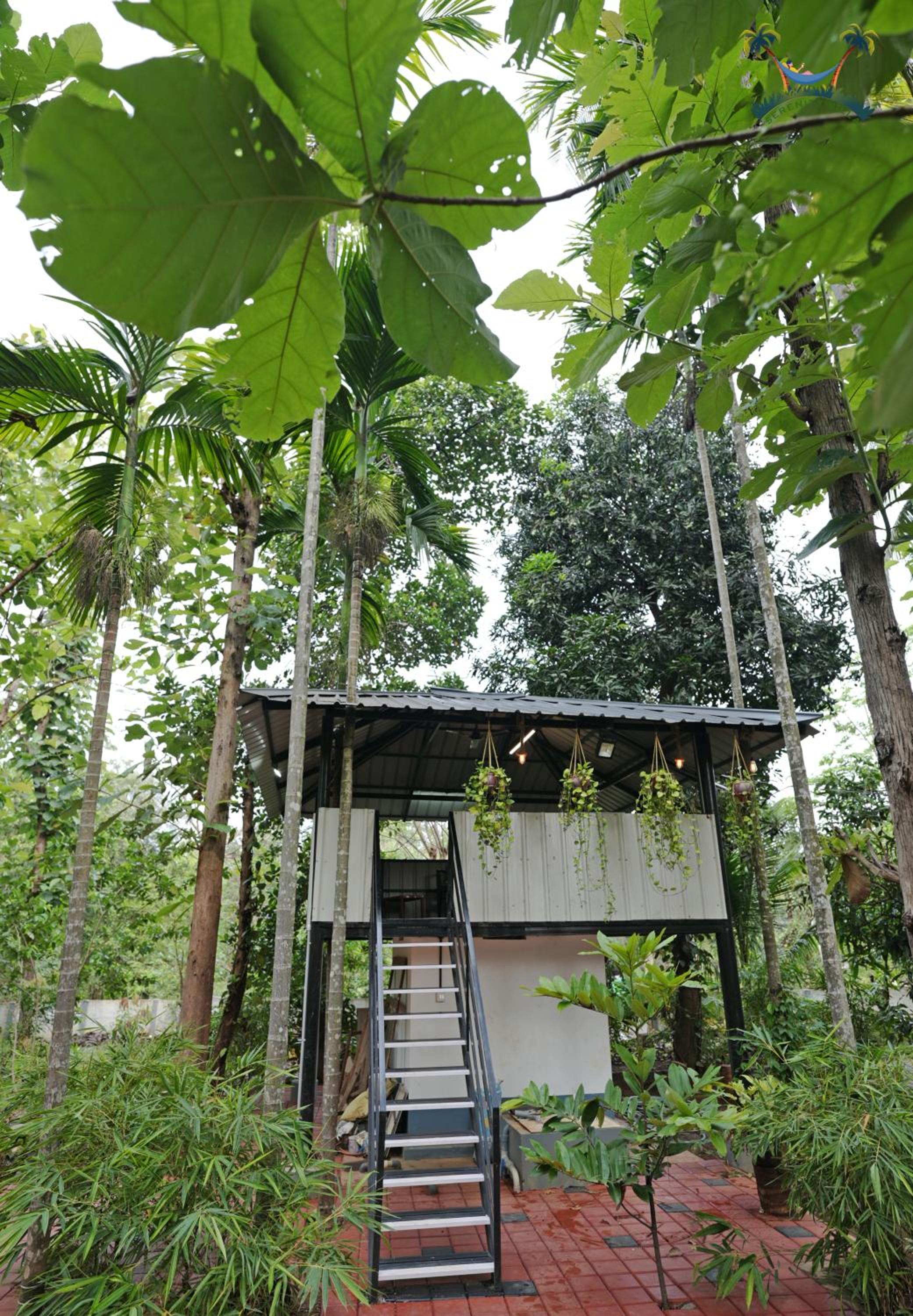 Serenity Villa and Treehouse
