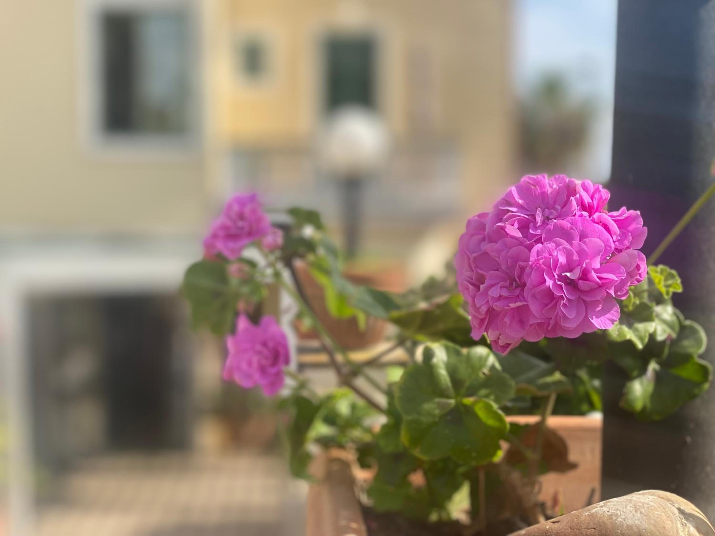 Villino Gregoraci Relais