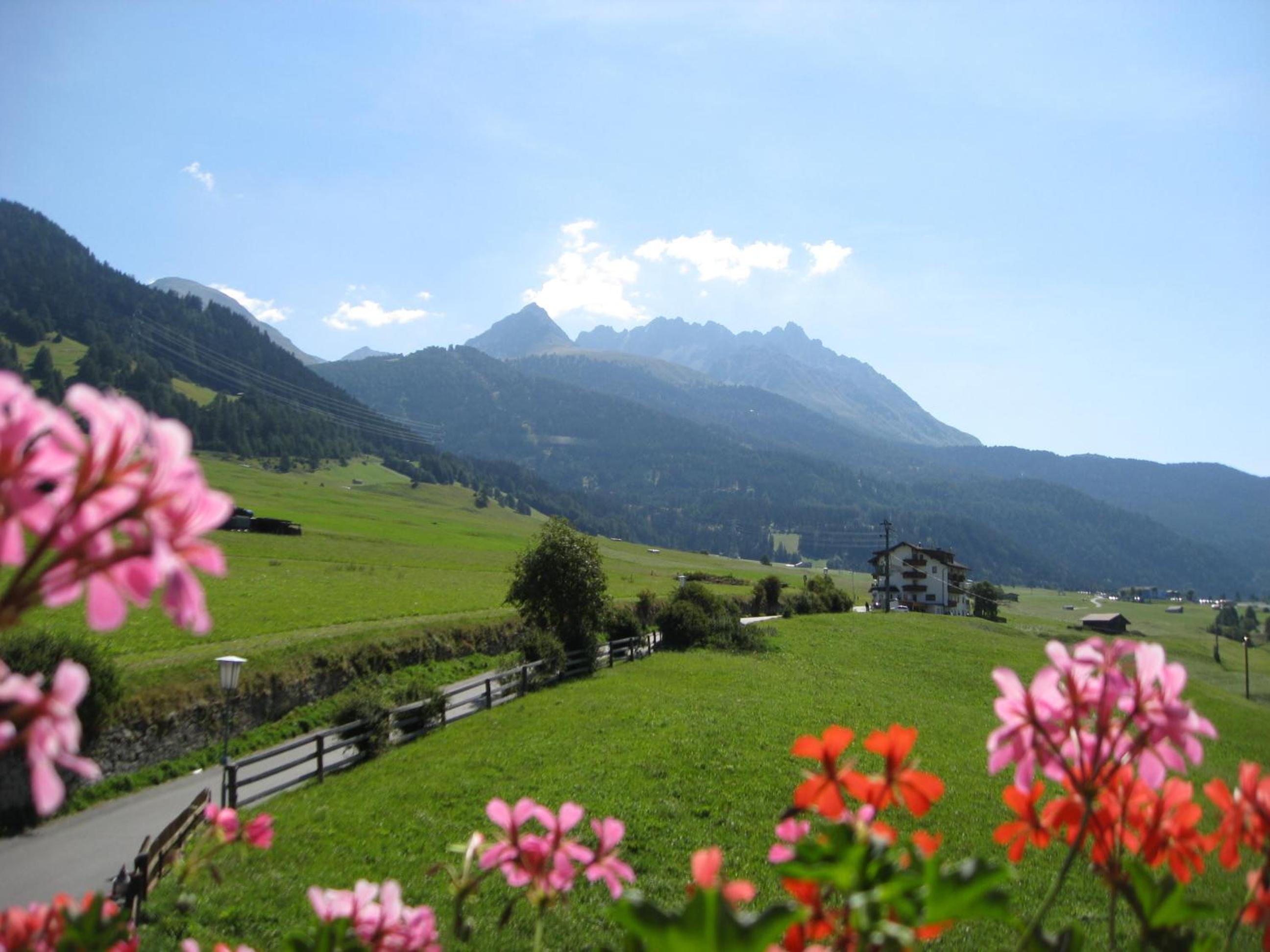 Alpenrose-Apart