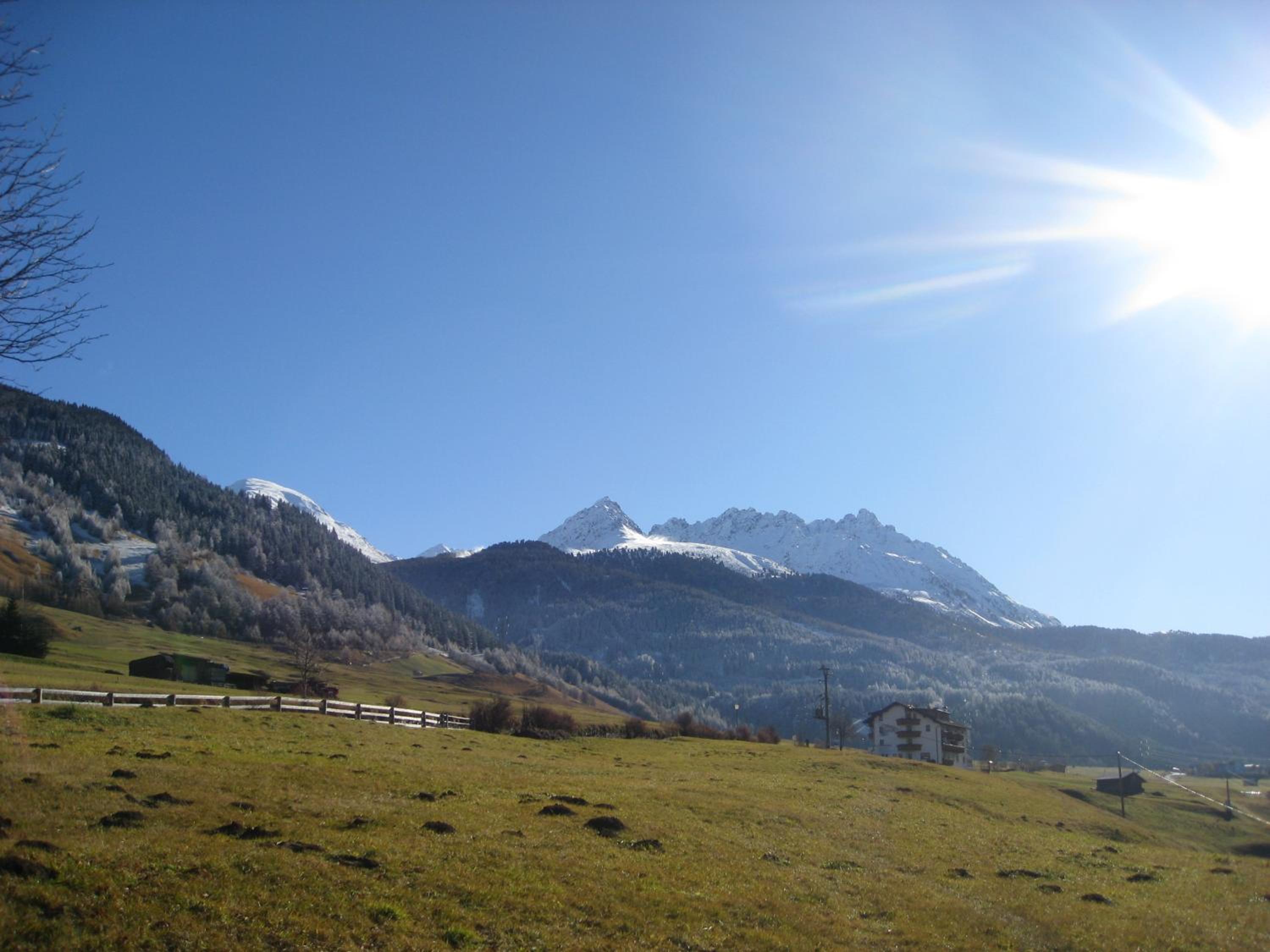 Alpenrose-Apart