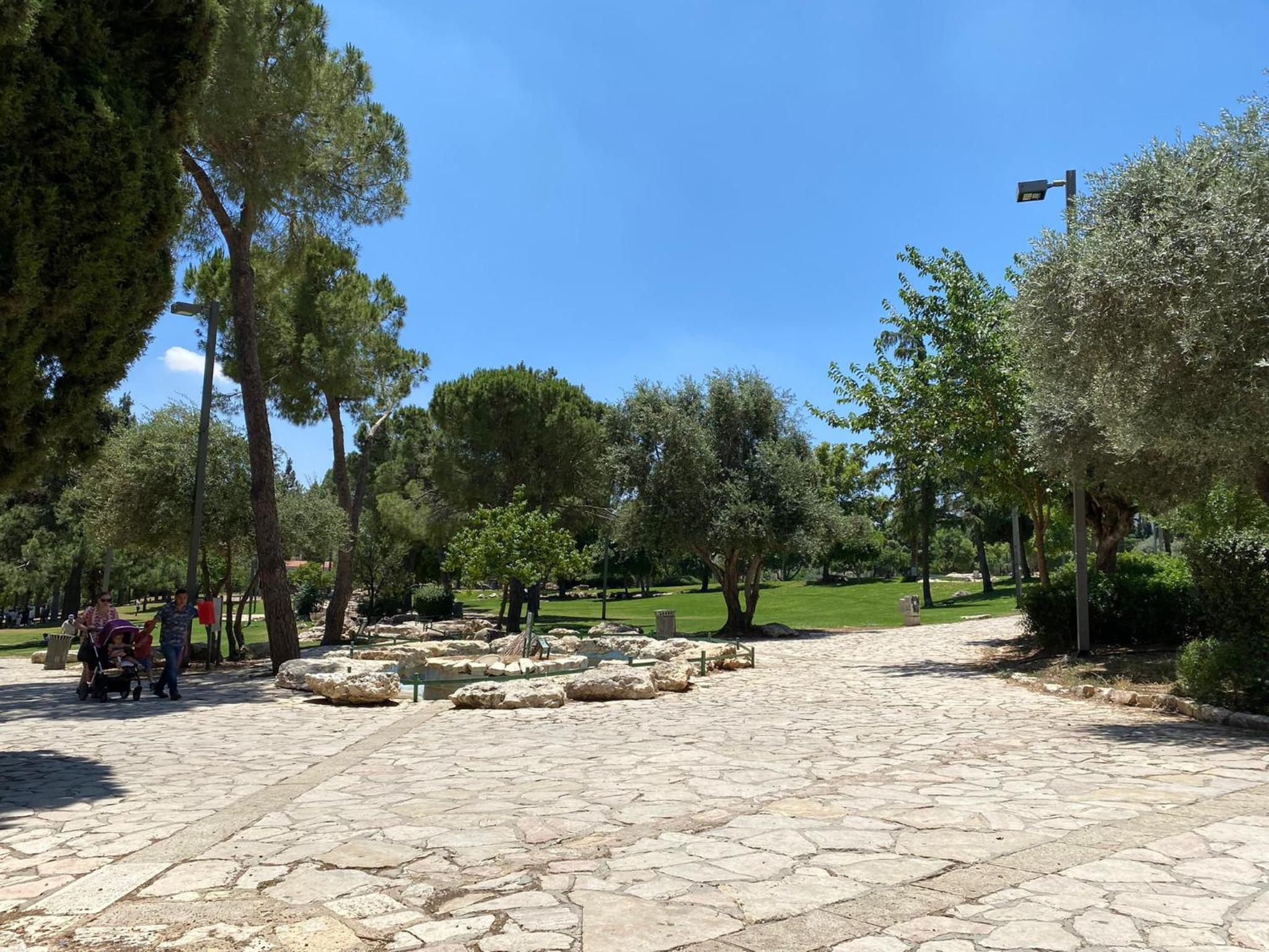 Photo 20