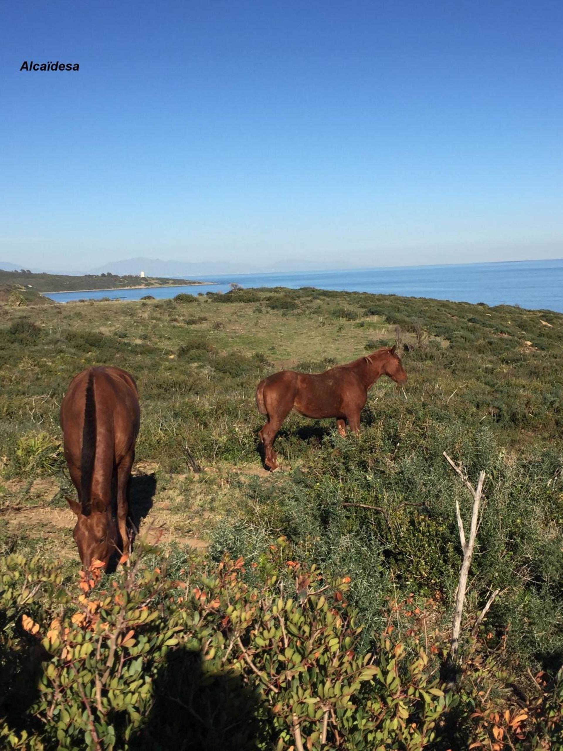 2204-Luxury apt on the beach,new,on duquesa port! photo 4