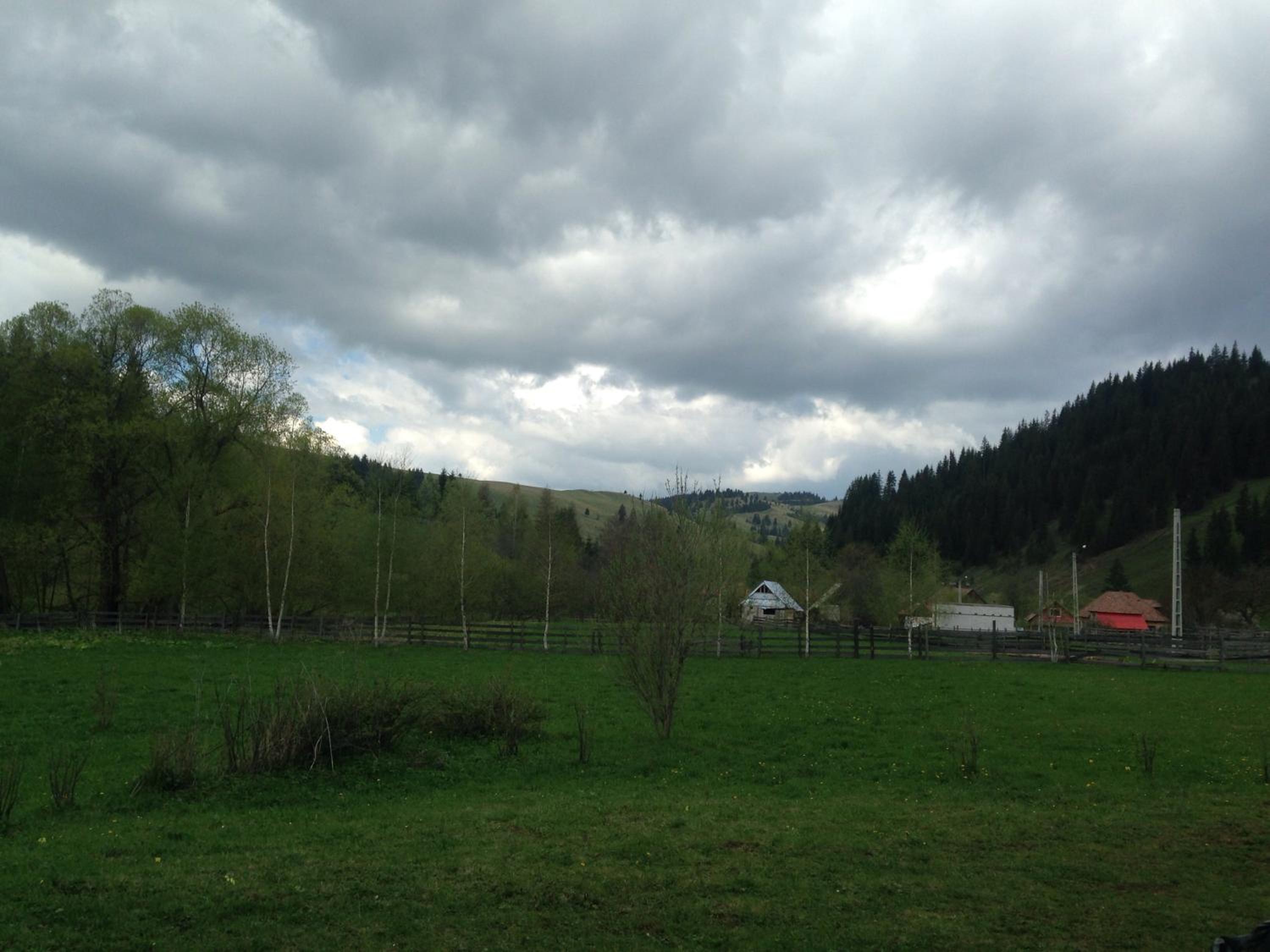 Photo 30