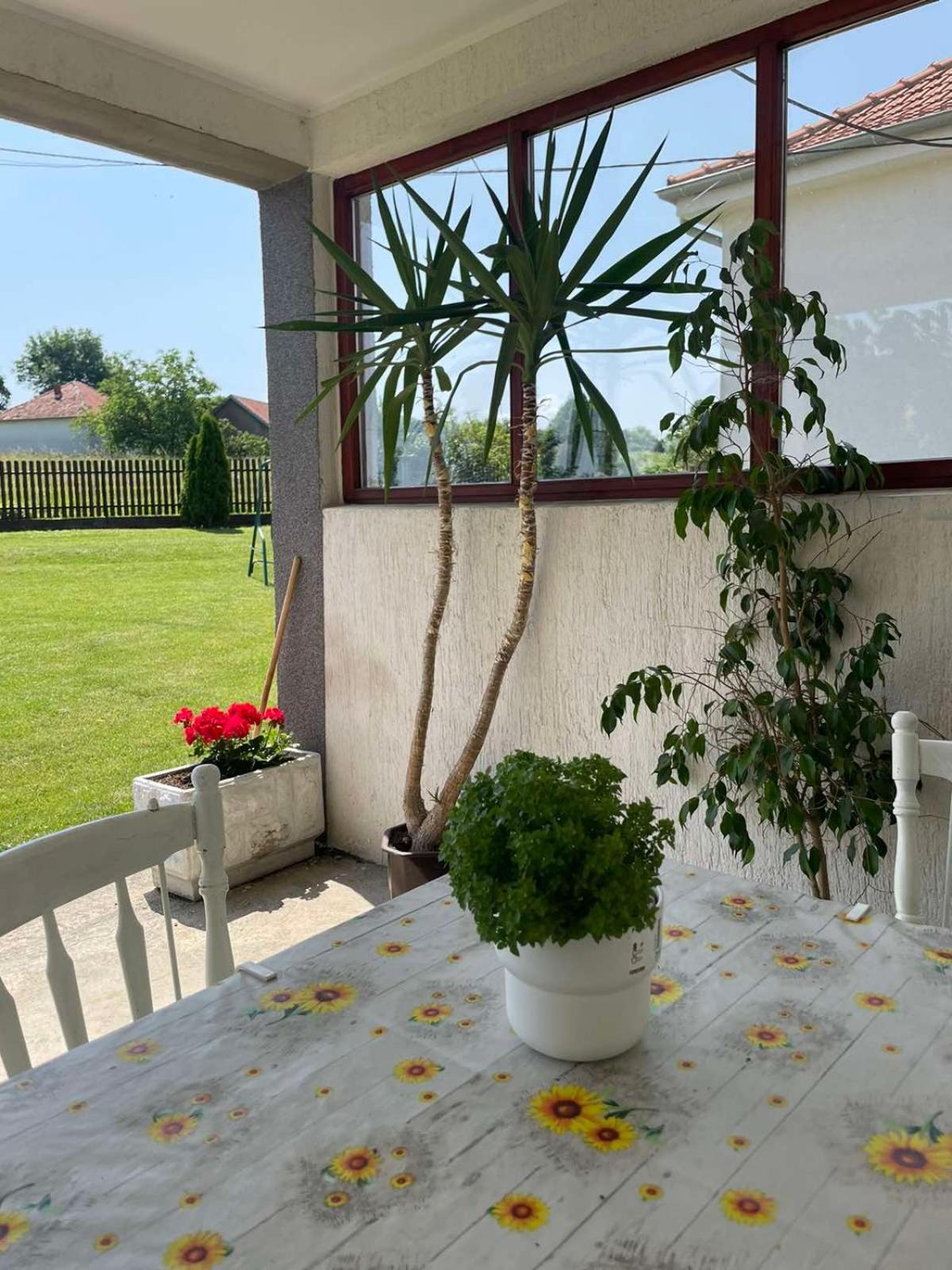 Starčević apartmani Orašac Aranđelovac OBAVEŠTENJE Proveriti raspoloživost putem poruke zbog učestalih lažnih rezervacija