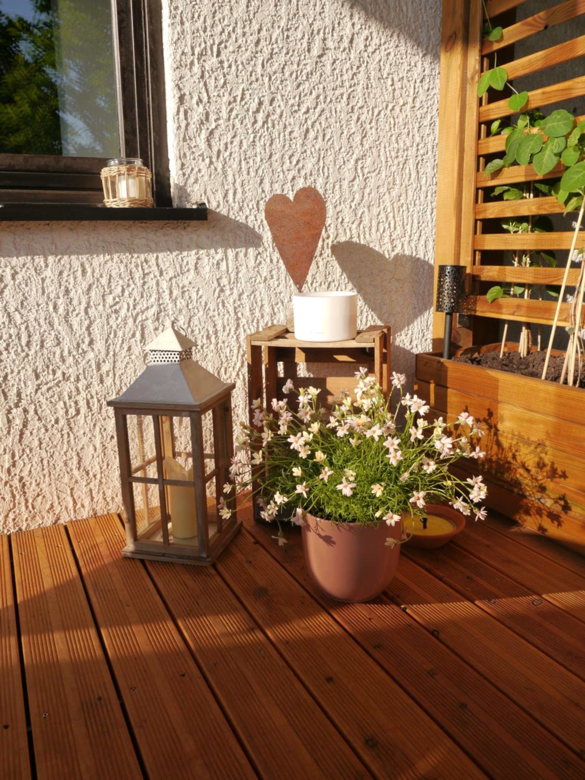 Ferienwohnung Waldschloss