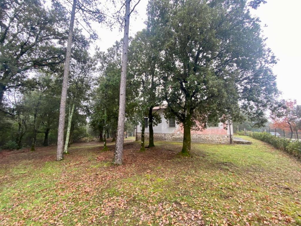 Tuscan Farmhouses at Castello del Calcione Estate