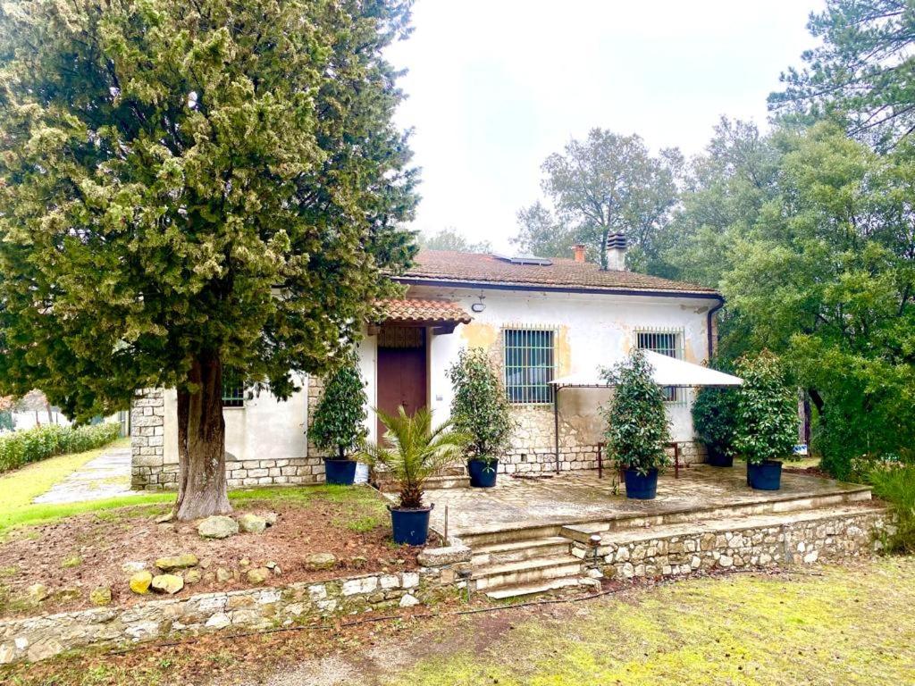 Tuscan Farmhouses at Castello del Calcione Estate