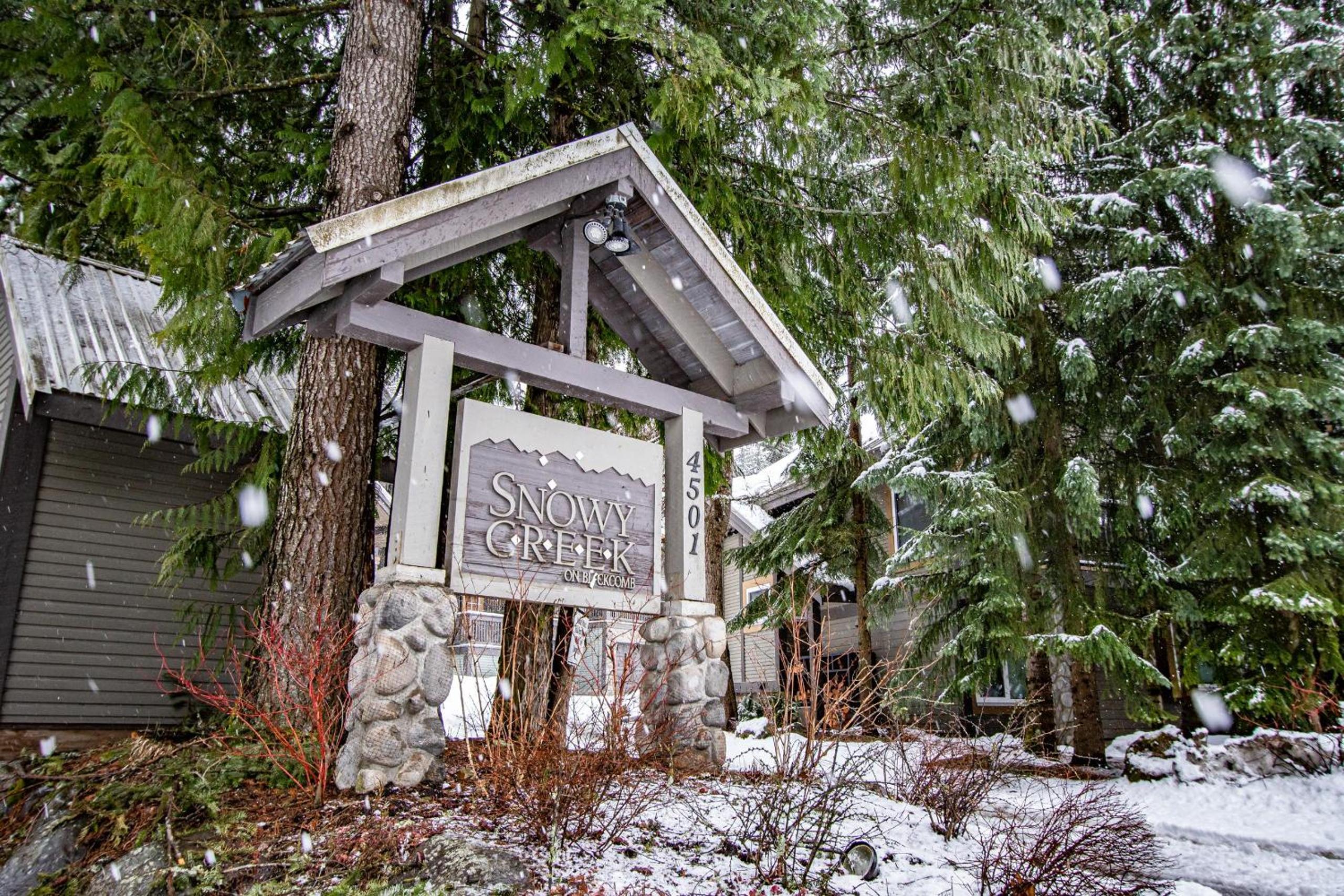 Snowy Creek 15