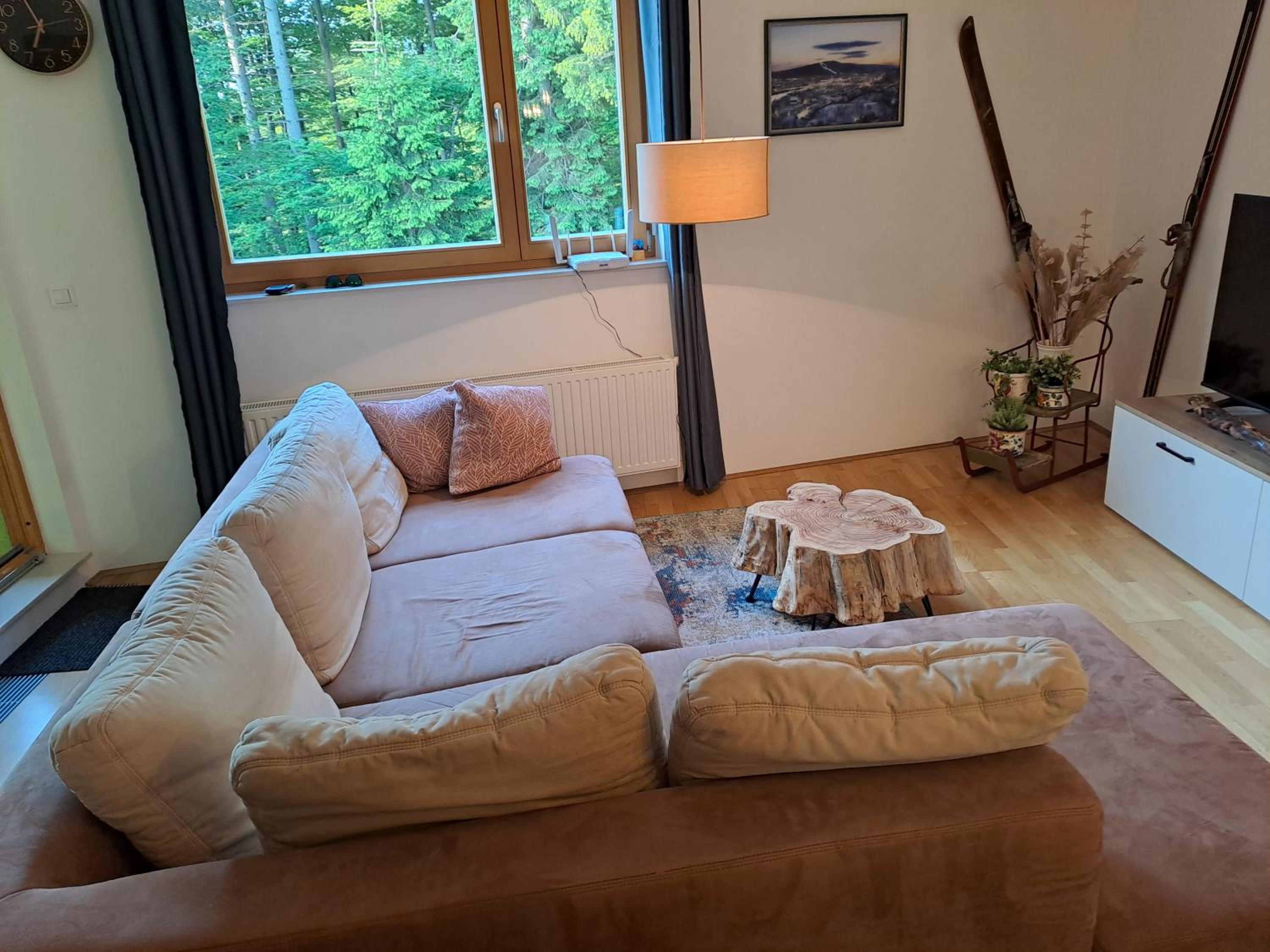 Apartment Alpina