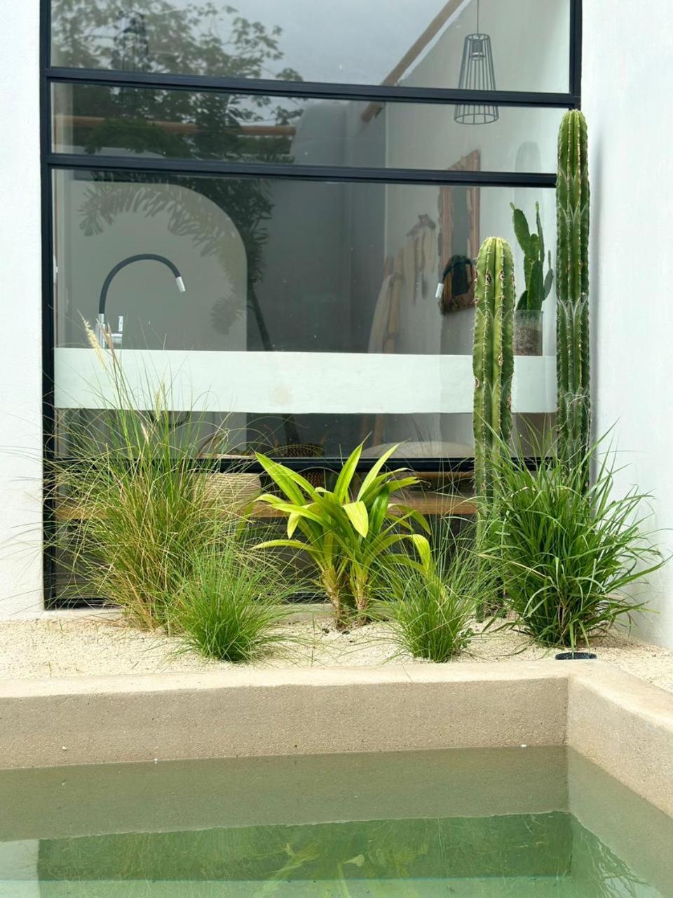 Las Guapas Villas Tamarindo