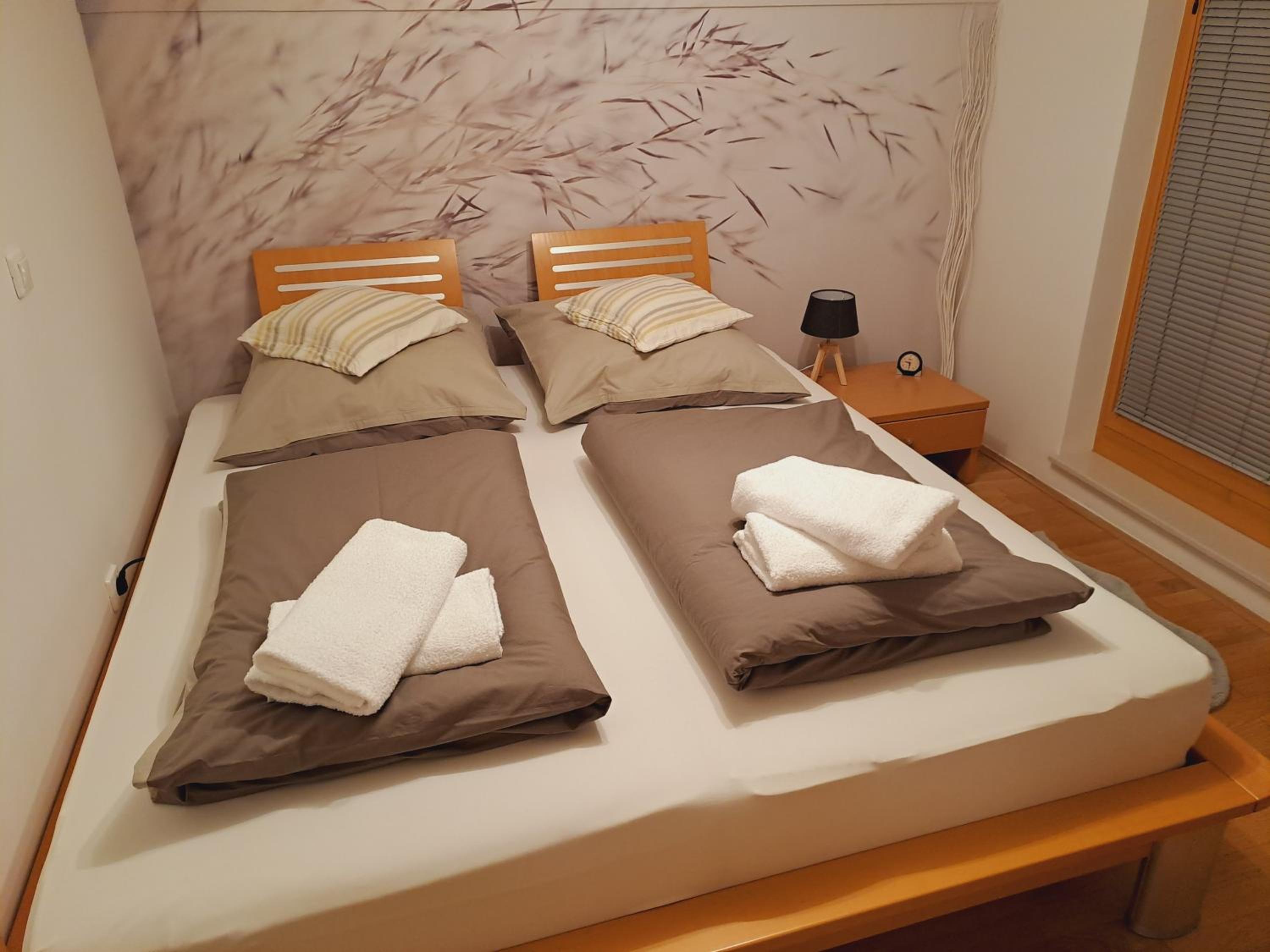 Apartment Alpina