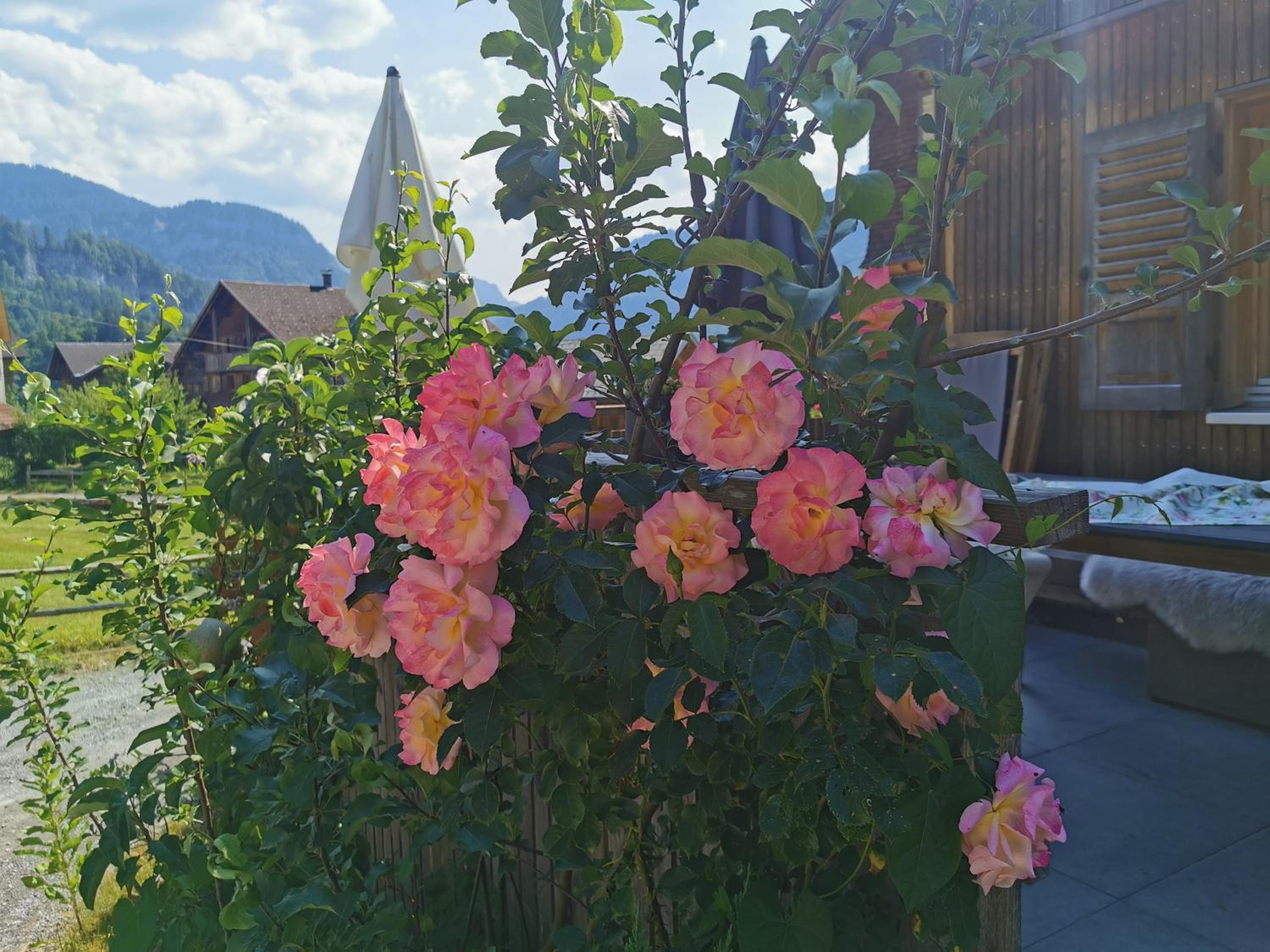 Ferienwohnung an der Alten Säge