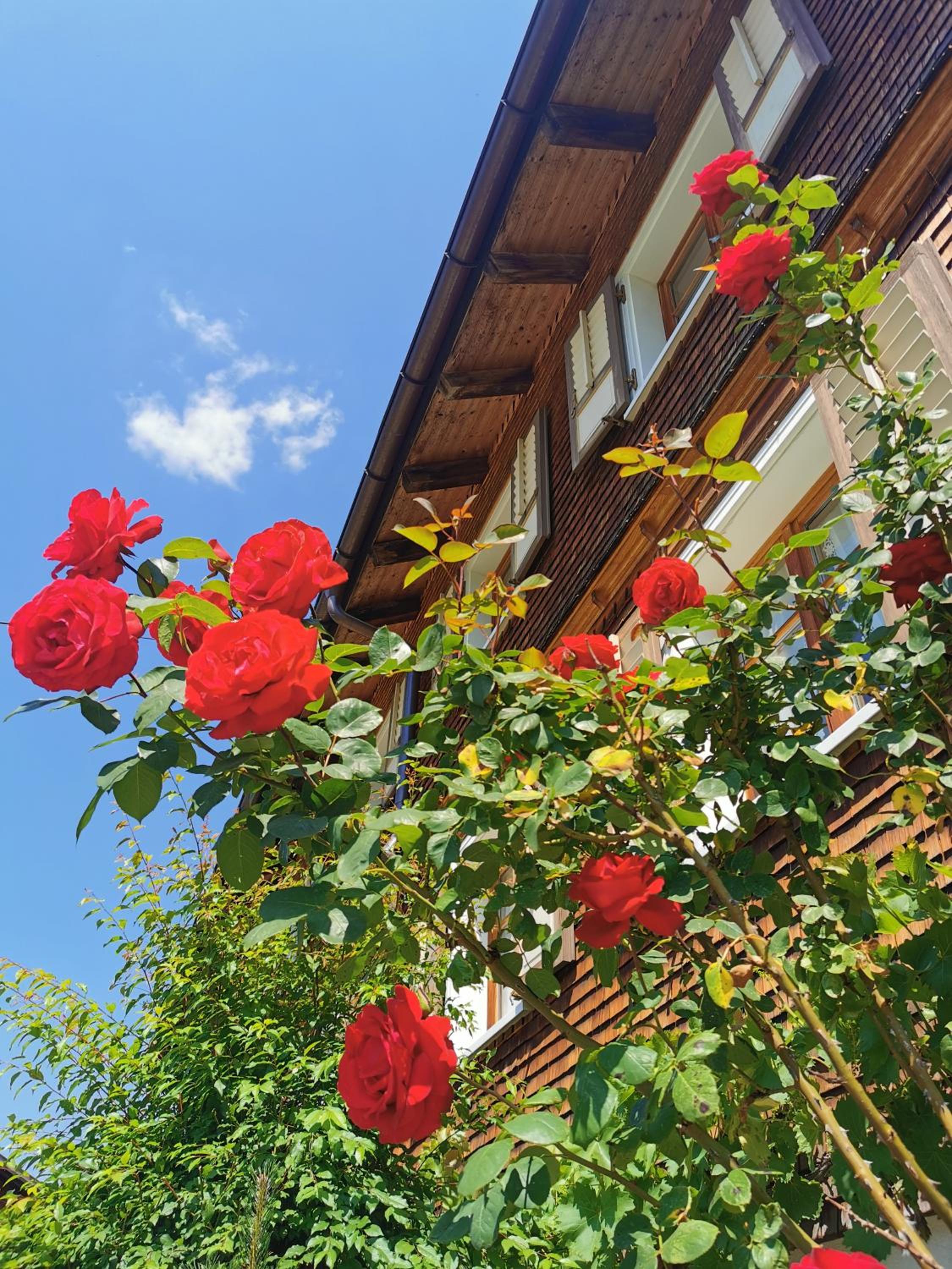 Ferienwohnung an der Alten Säge