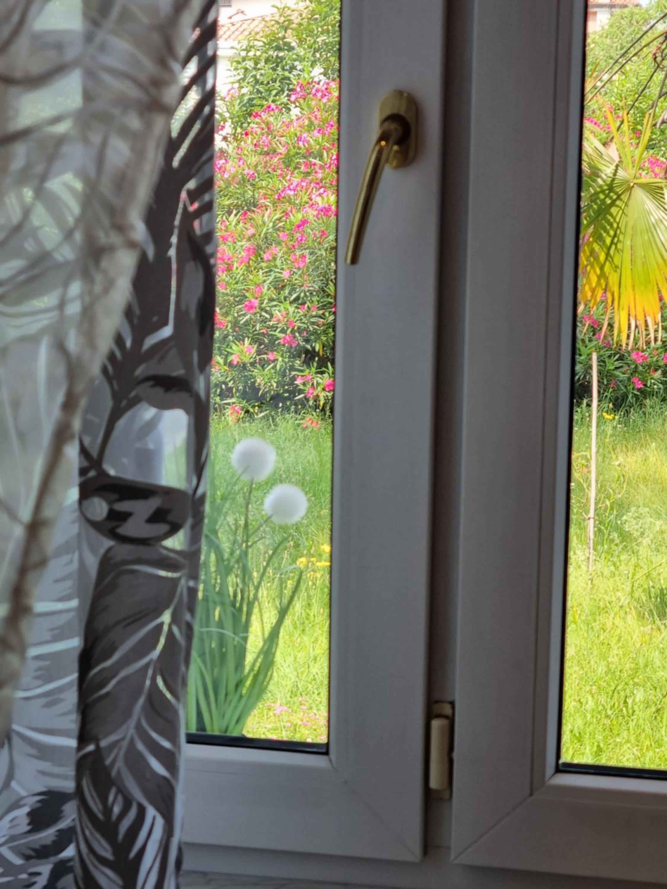 Alloggio Silva