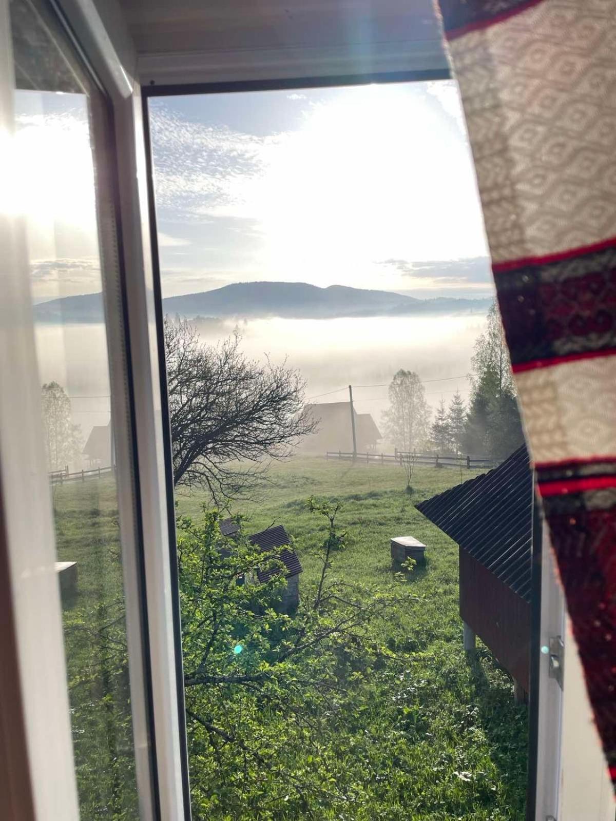 Sadiba Rozchil