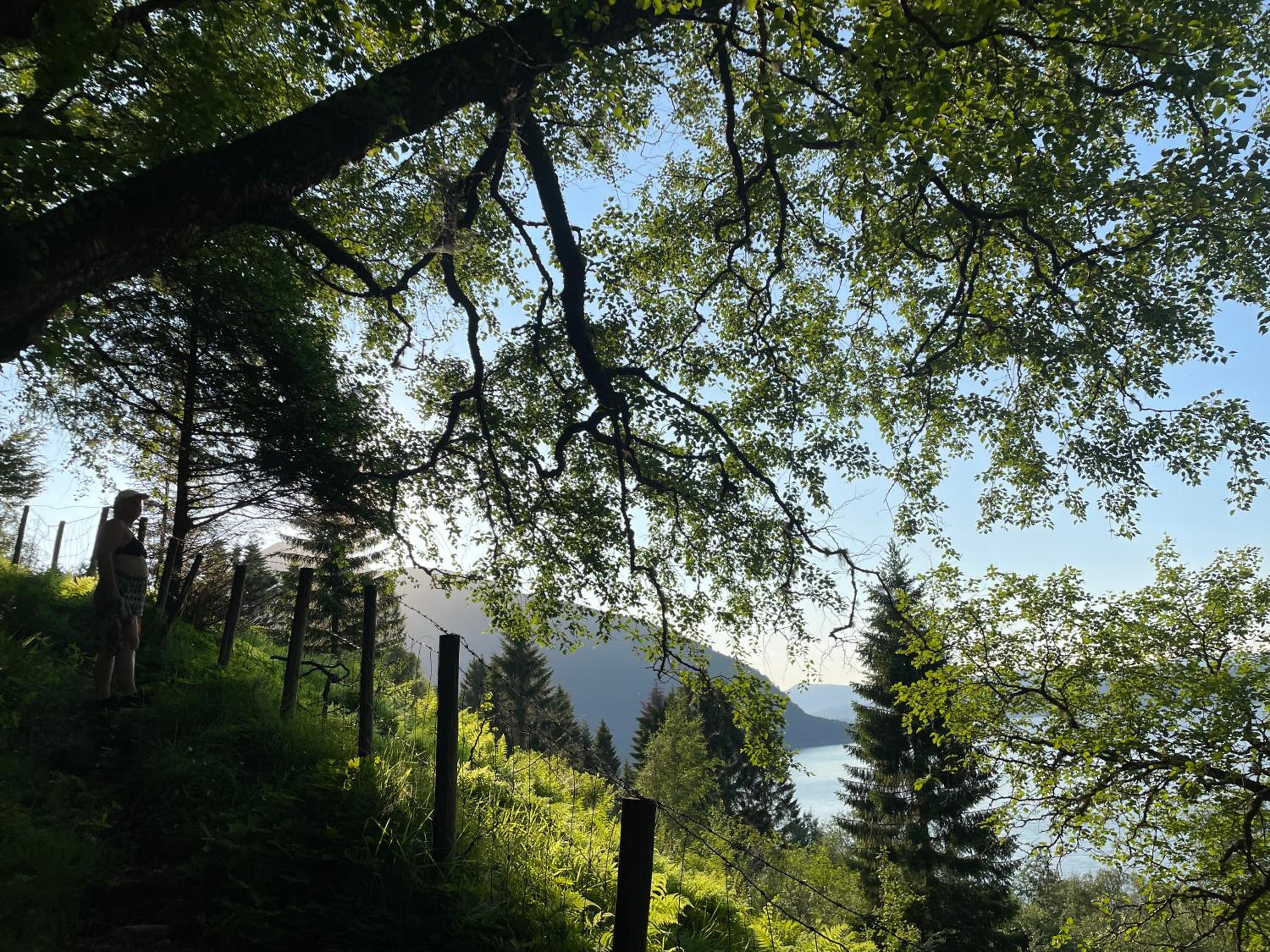 Monshaugen Home - Privat Retreat