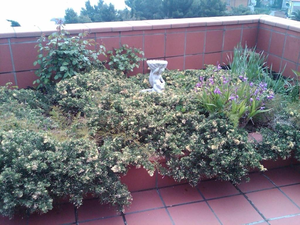 Photo 34