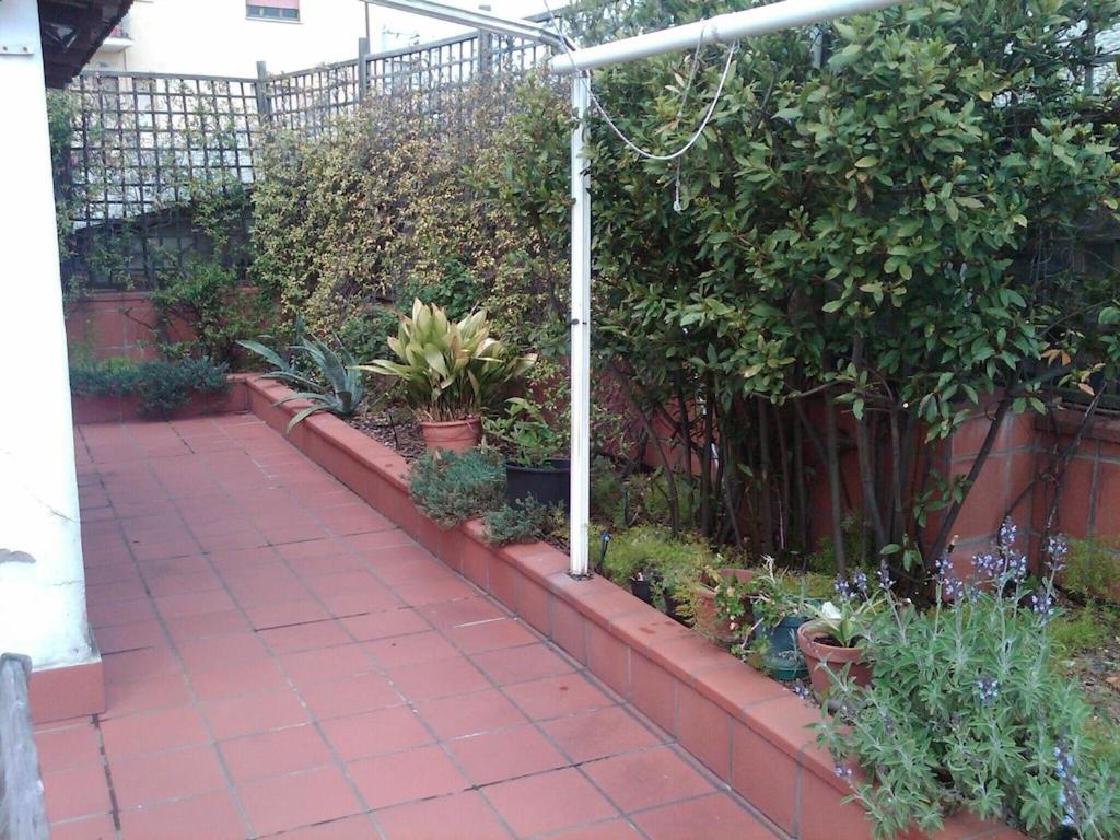 Photo 38