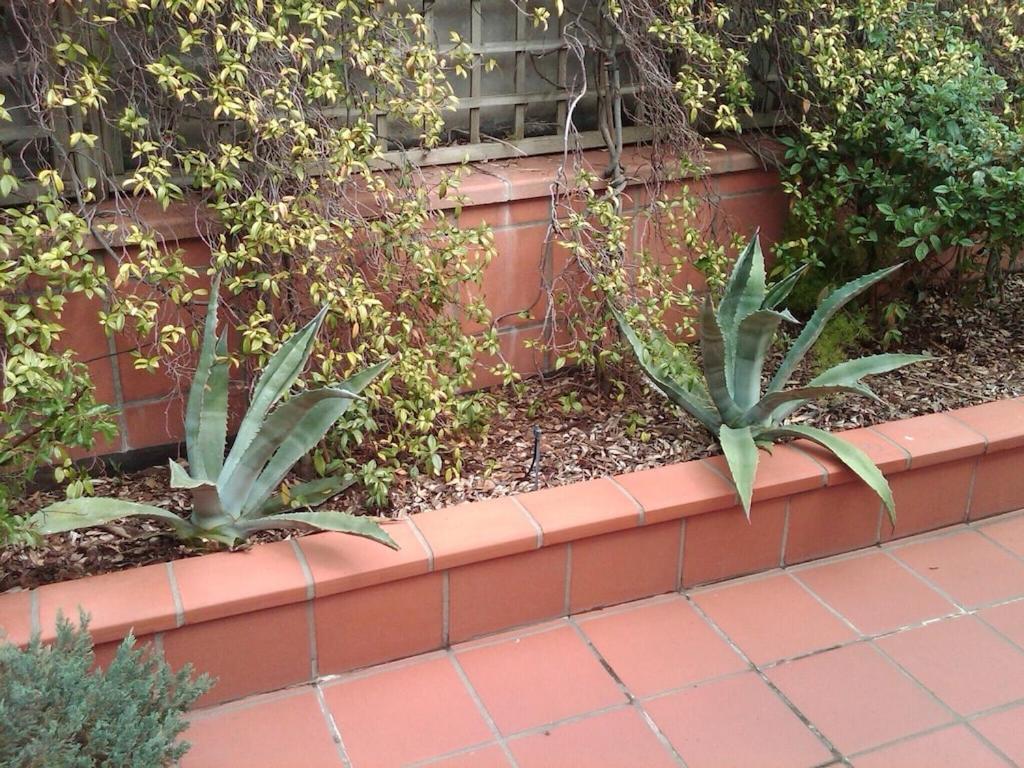 Photo 49