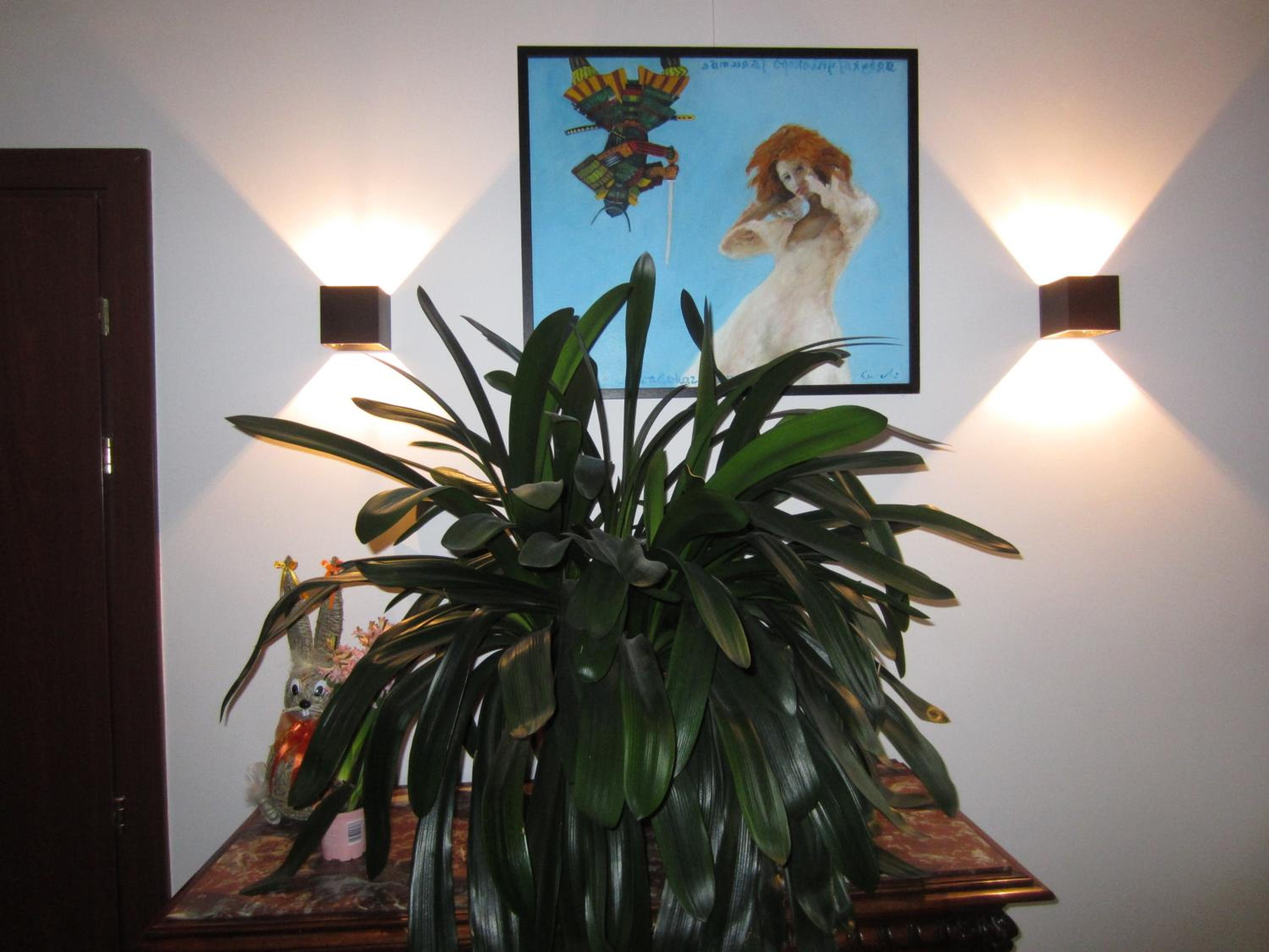 Photo 43