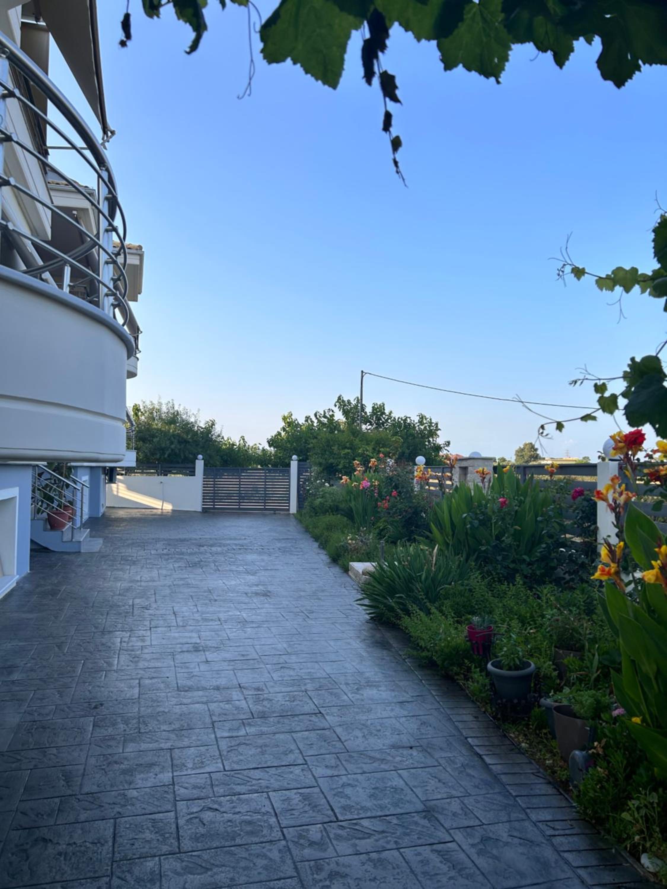 Elsa home view 2