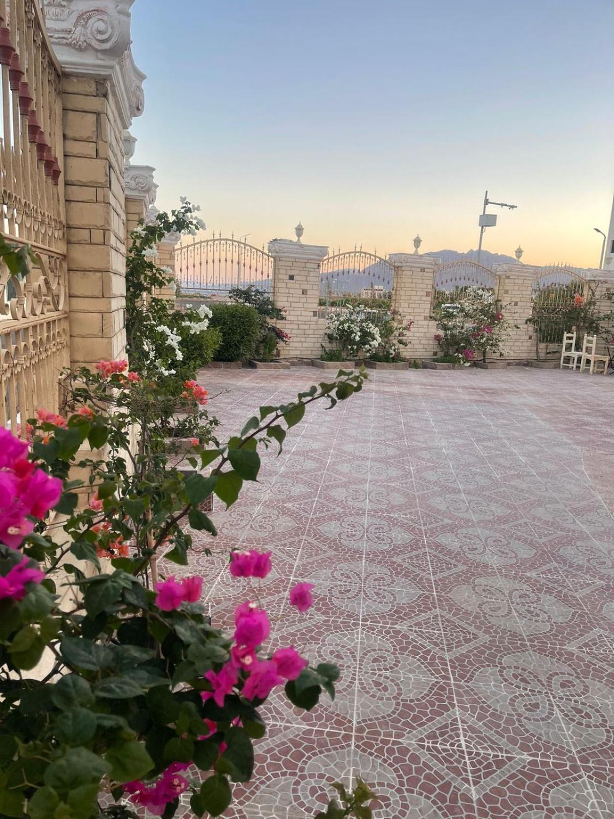 Classic House Dahab