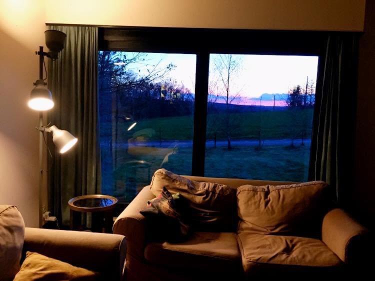 Bungalow Rochehaut au calme