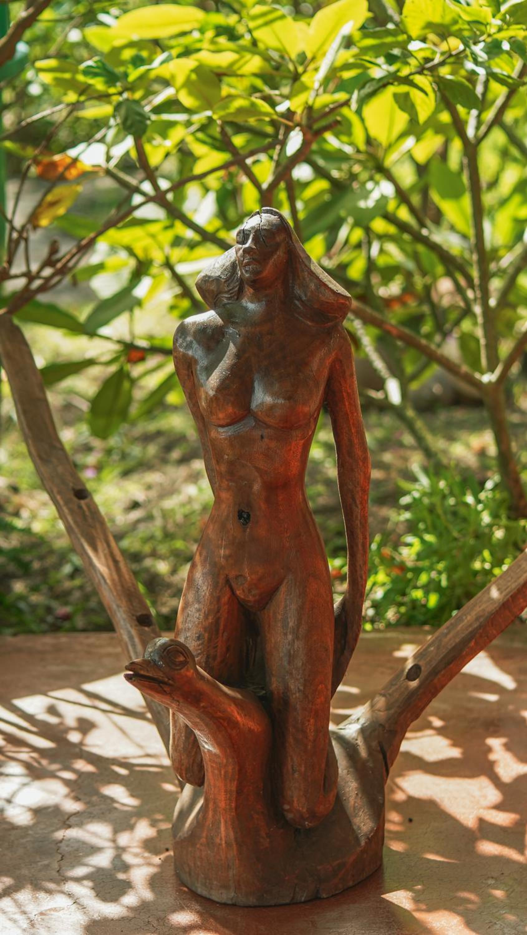 Photo 41