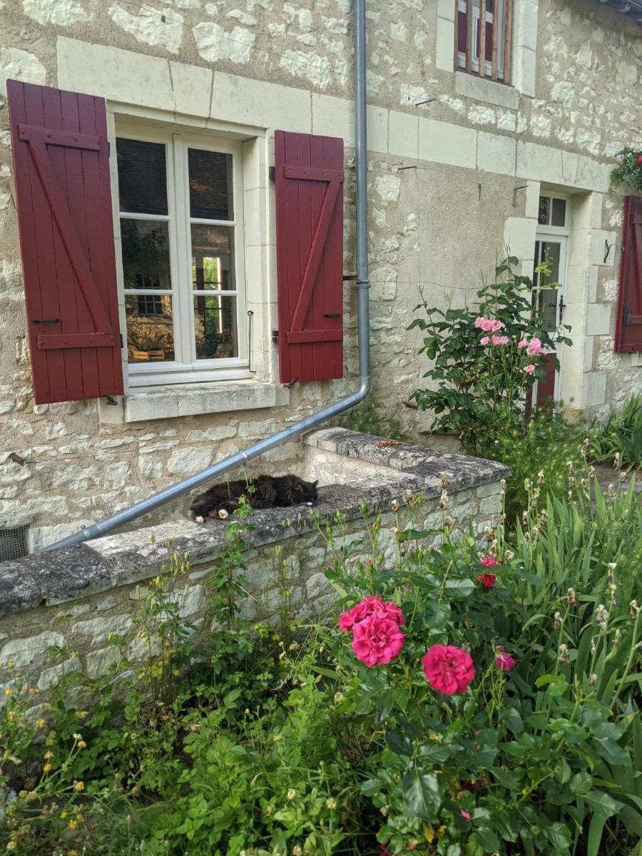 Photo 23