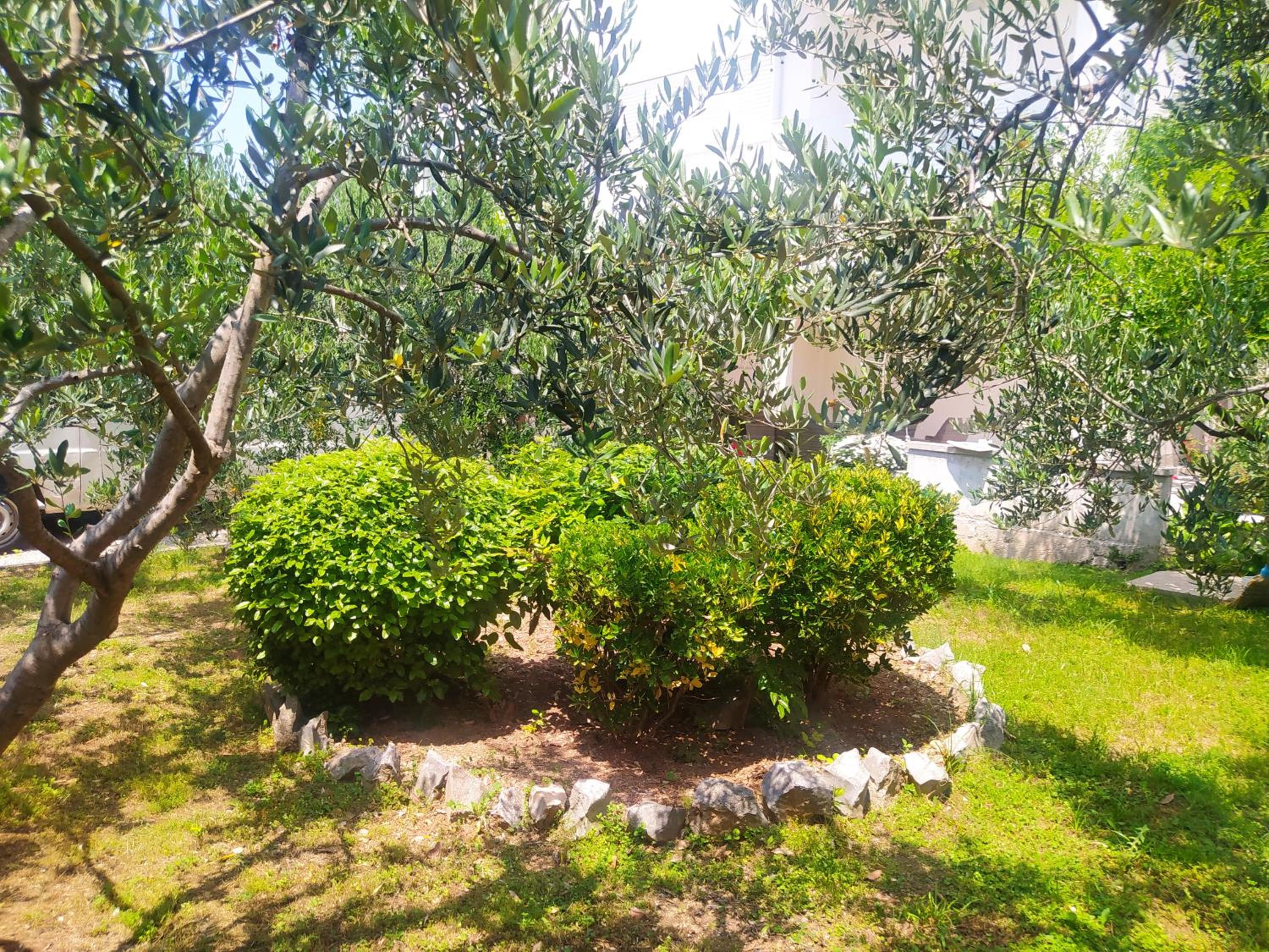 Apartmani Trubi 2 view 2