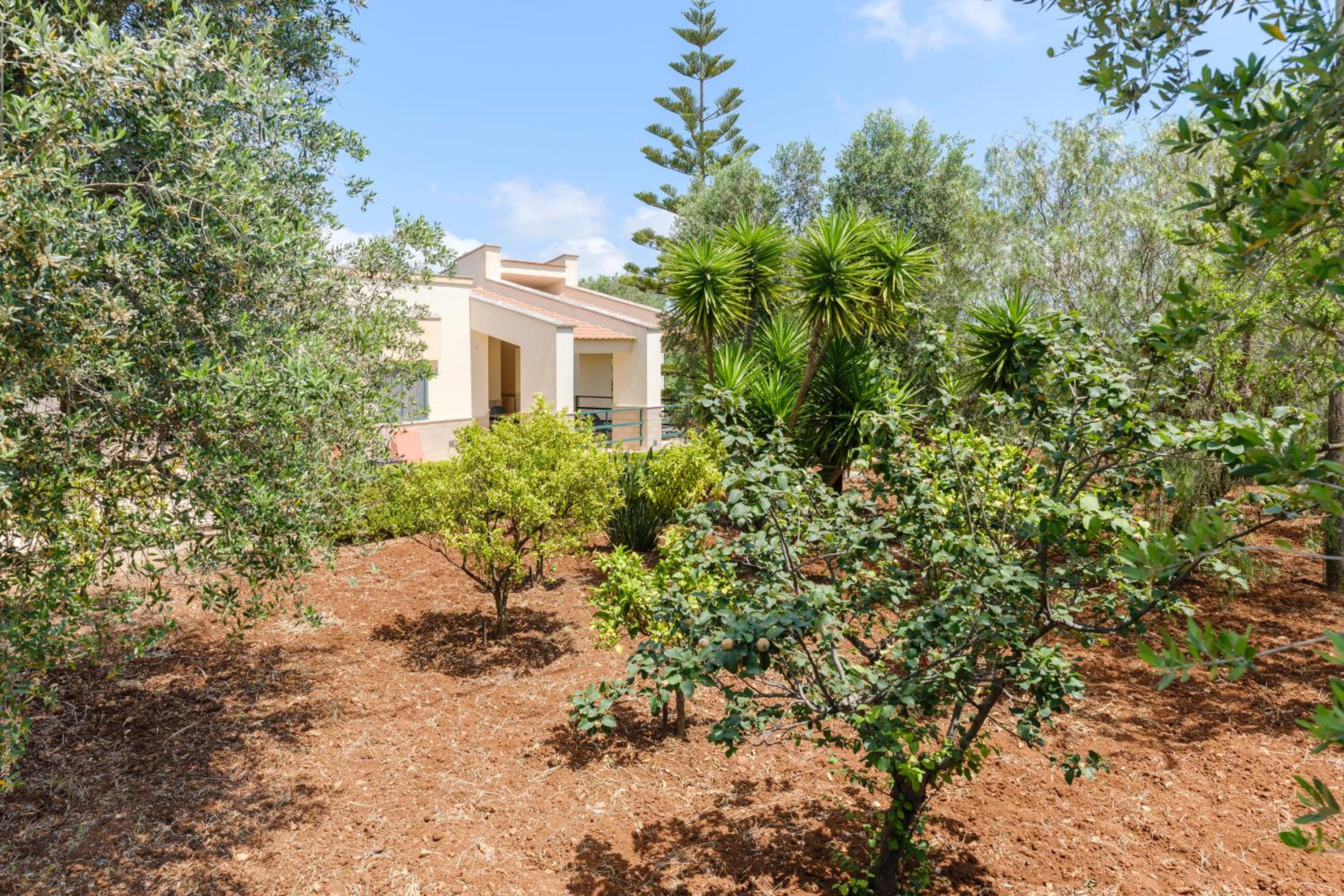 Photo 14