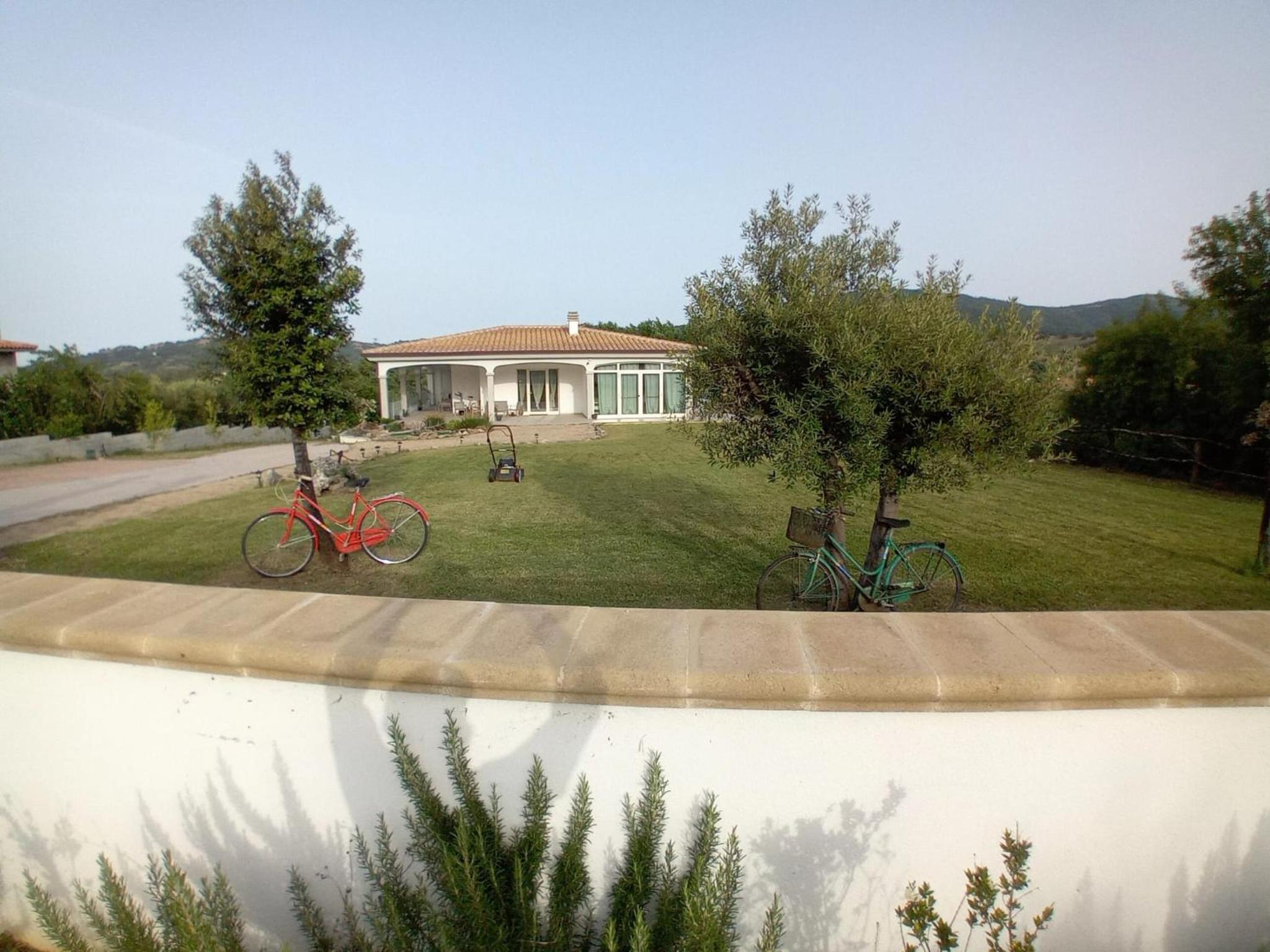 Photo 45