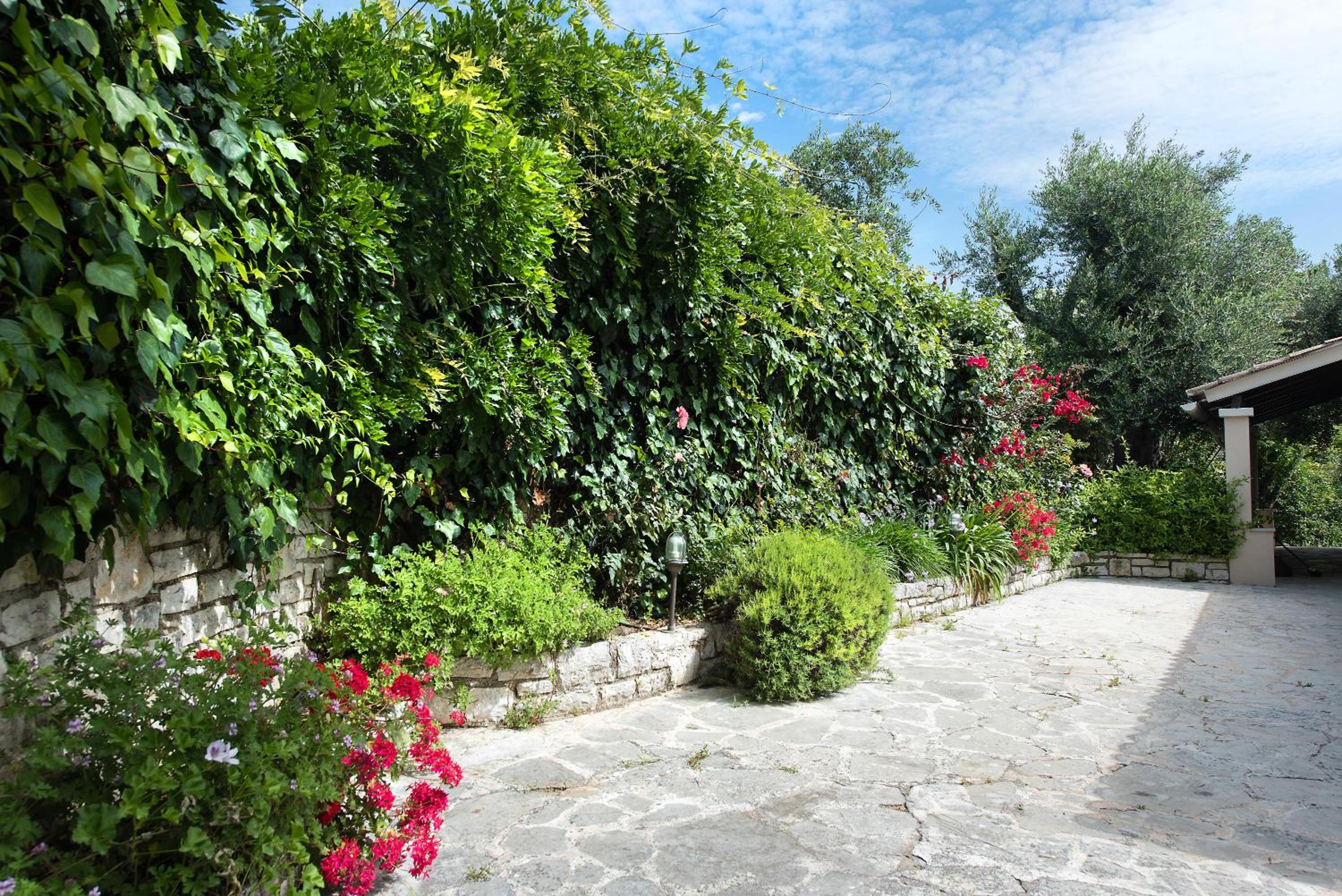 Villa Lofos view 5