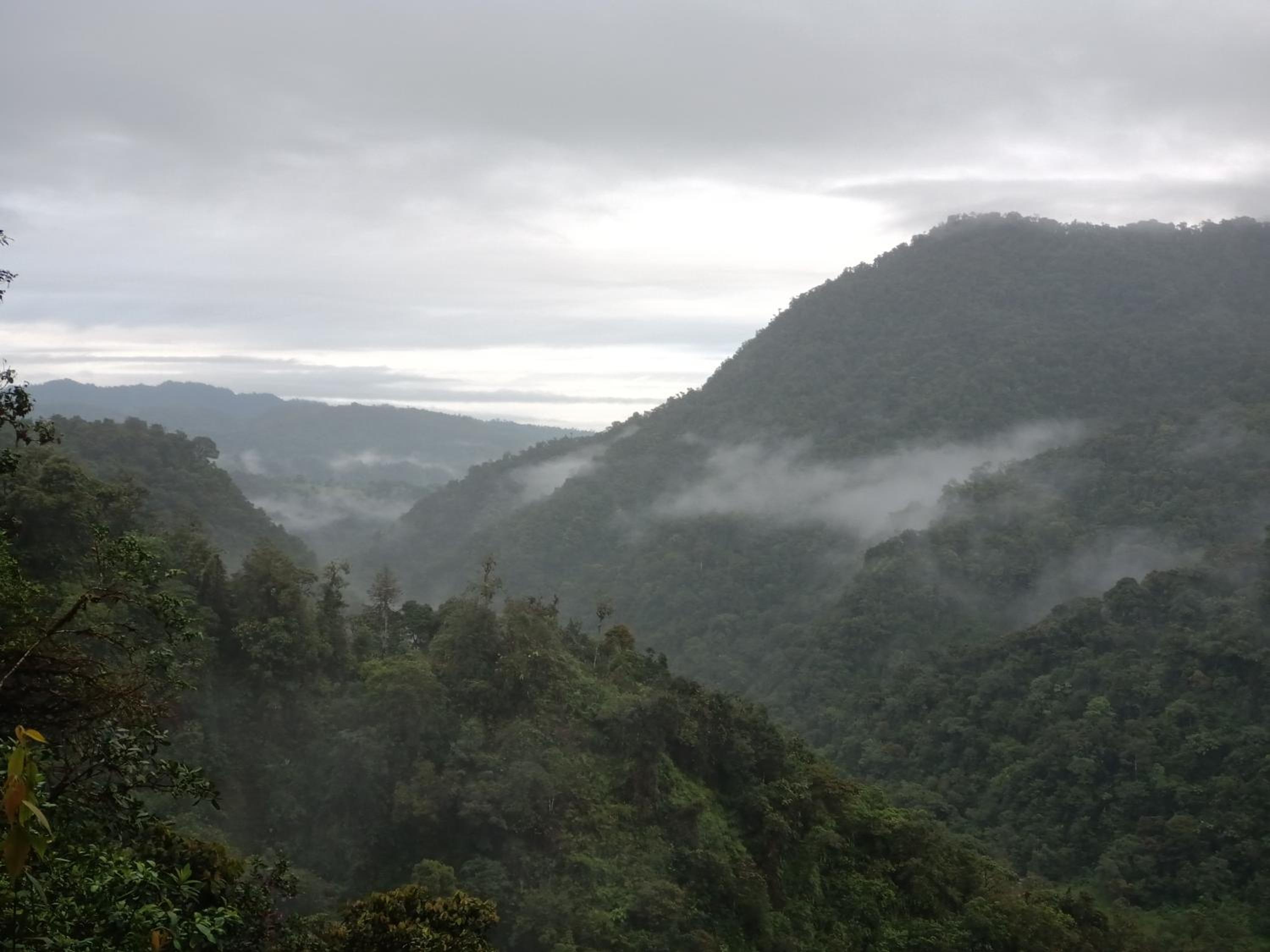 Biohostal Mindo Cloud Forest