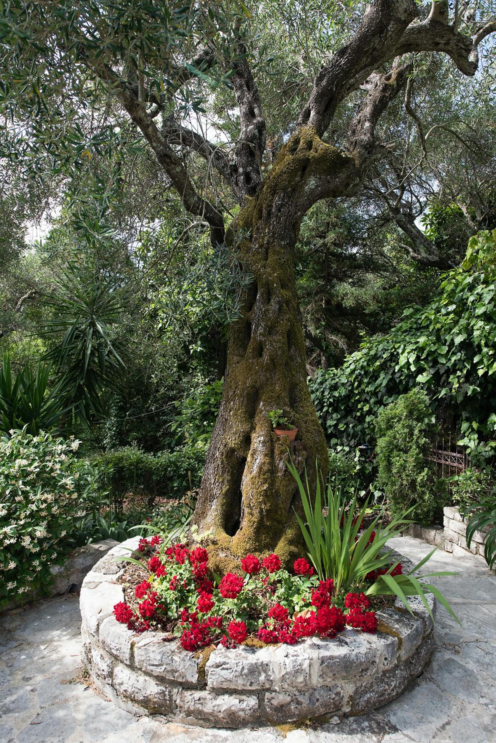 Photo 7