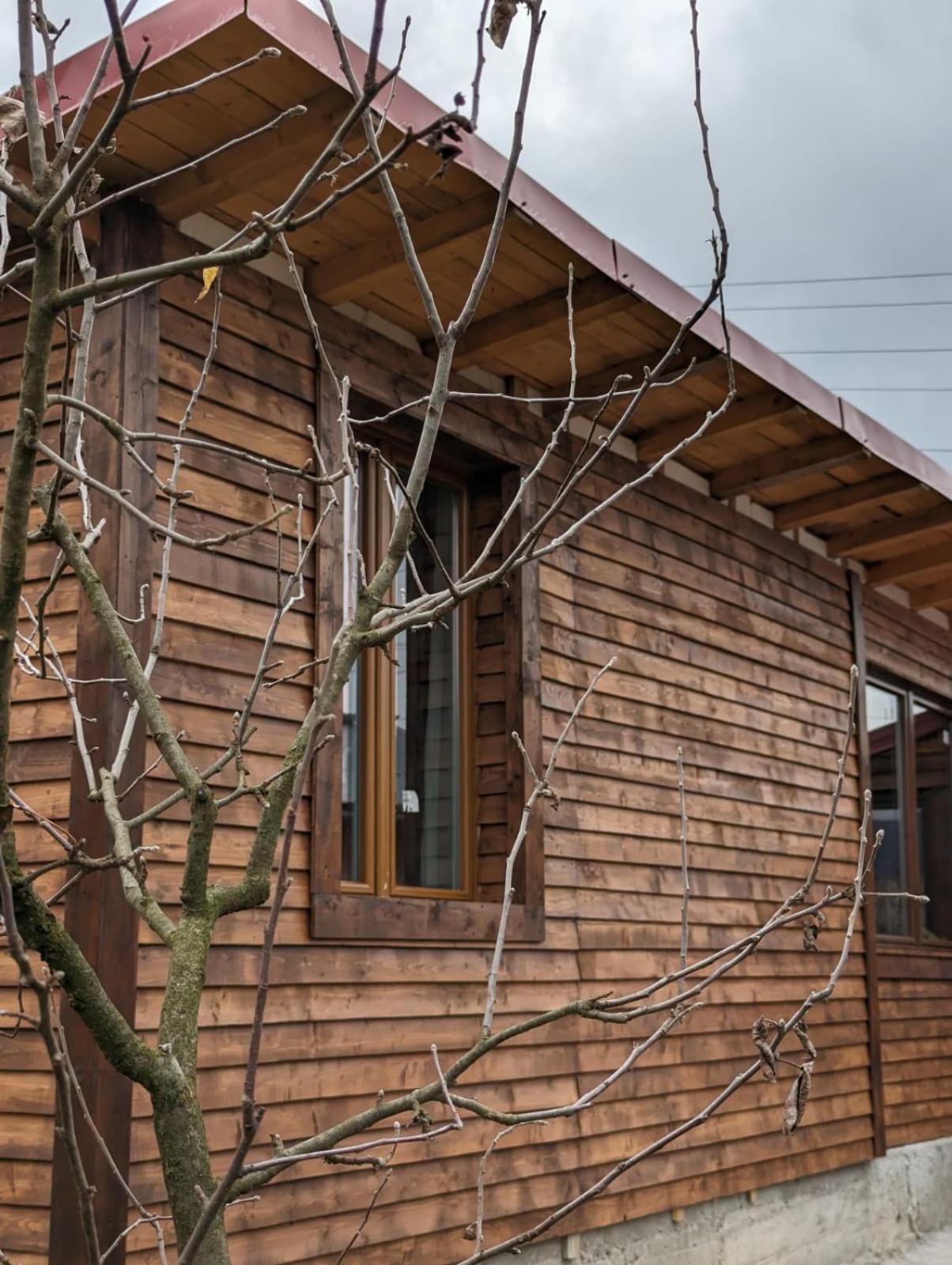 Casa CeDar