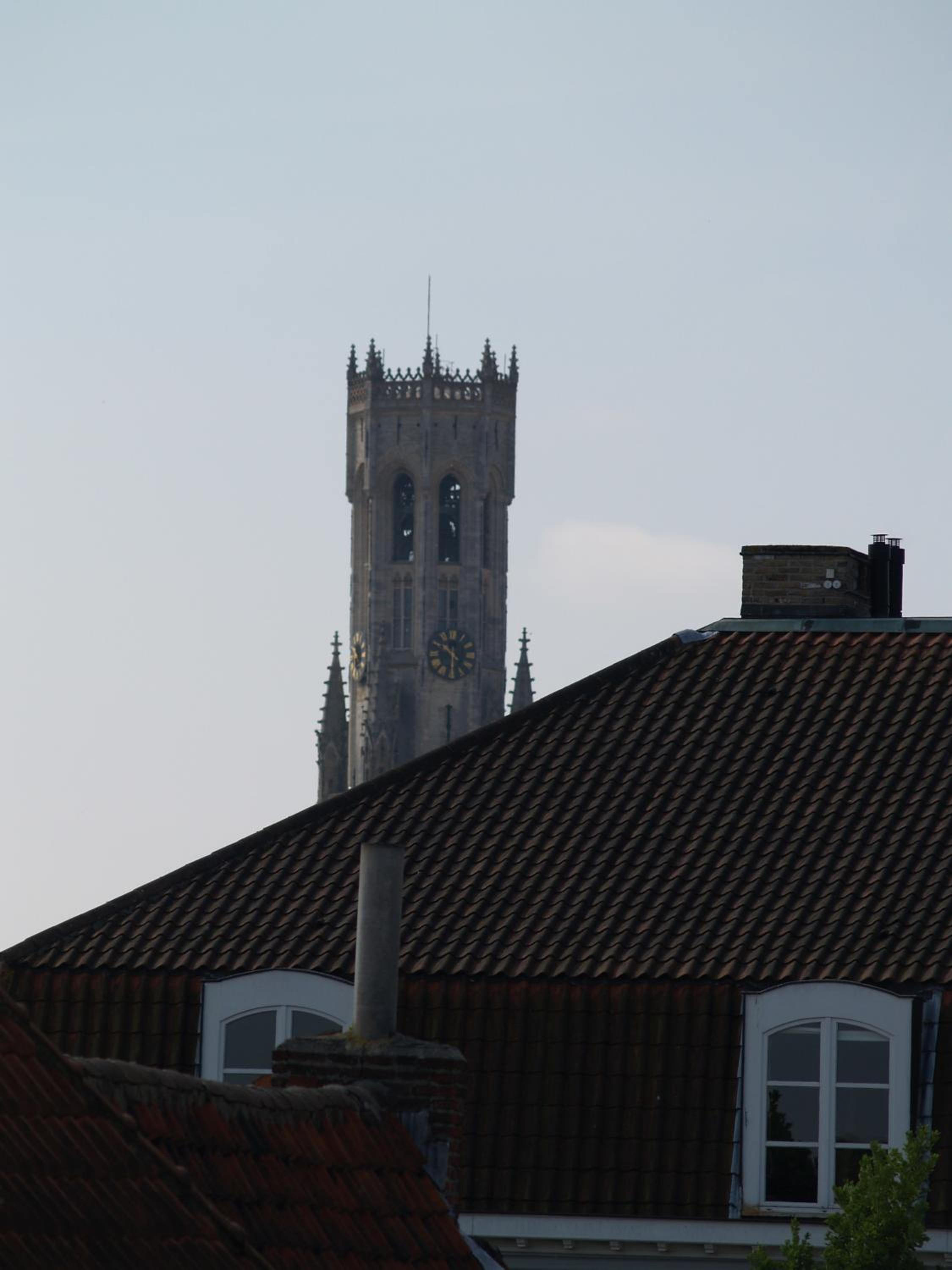 Guesthouse Vlamynckpoort